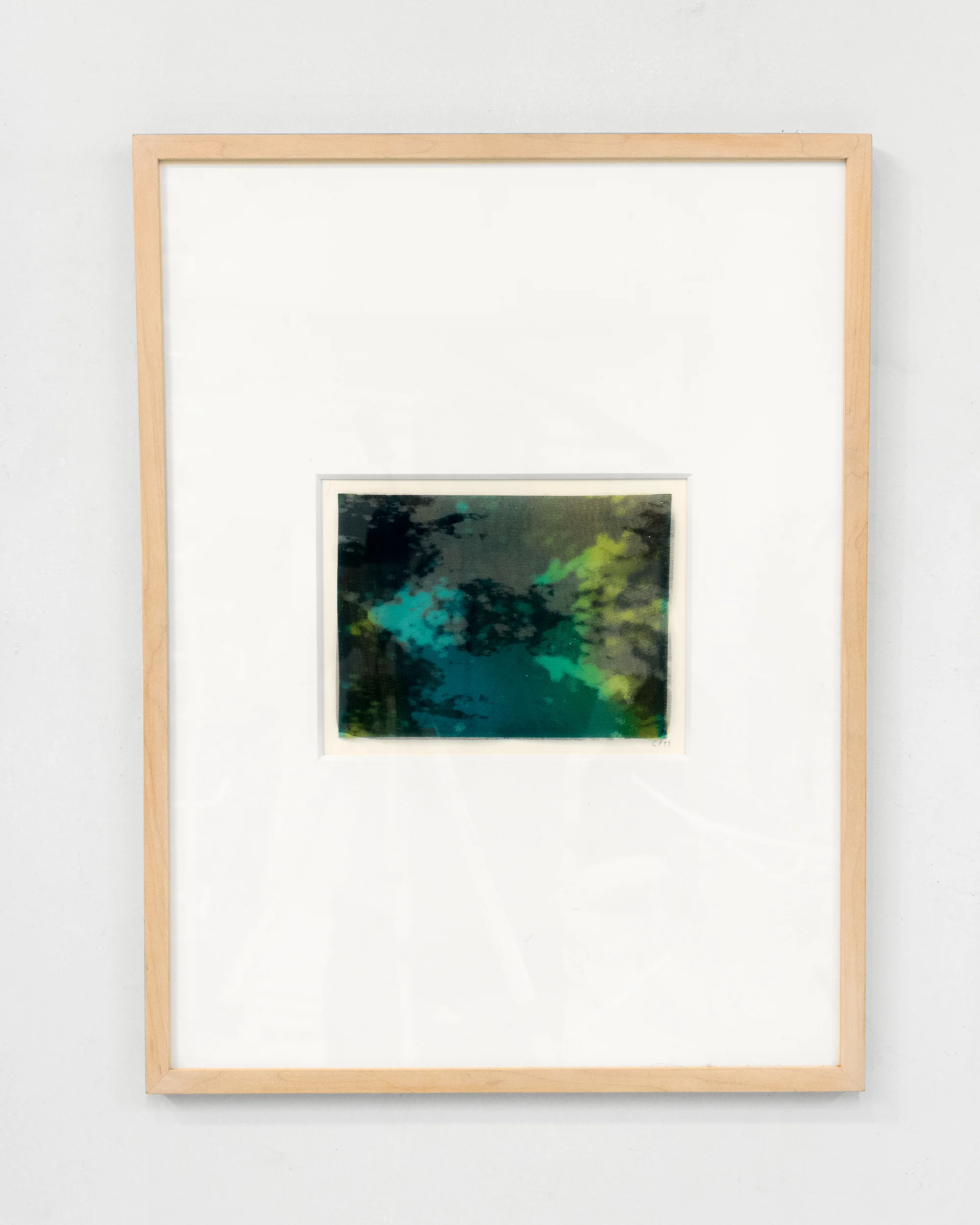 Carol Peligian, Congruit Universa I , 1999, silk, graphite, plastic, ink, 24 3/4 x 18 3/4 inches