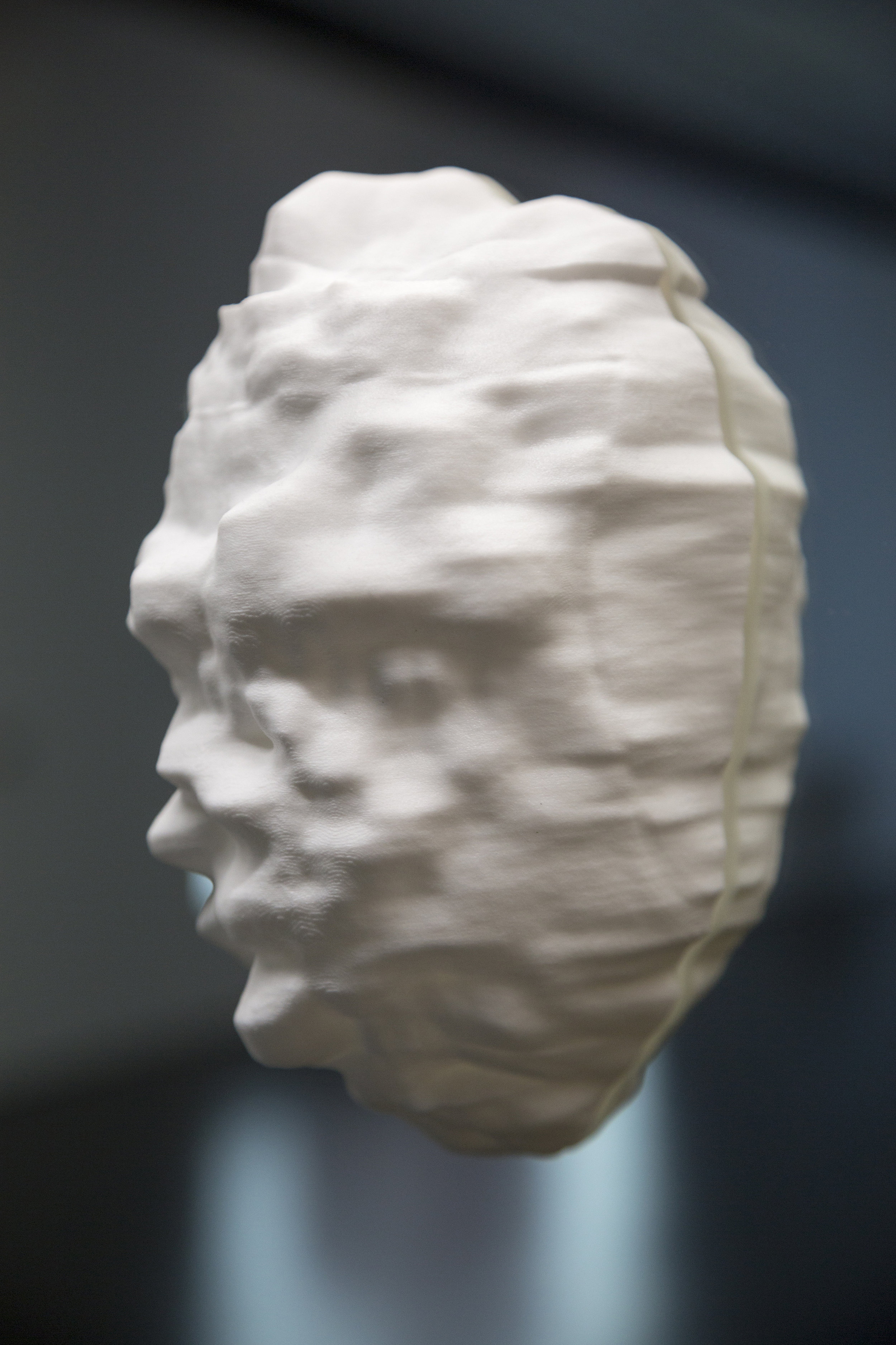   Sobek , 2015  3D printed nylon, glass mirror, facial recognition, genetic algorithms  26 × 18 inches | 66 × 45.7 cm 