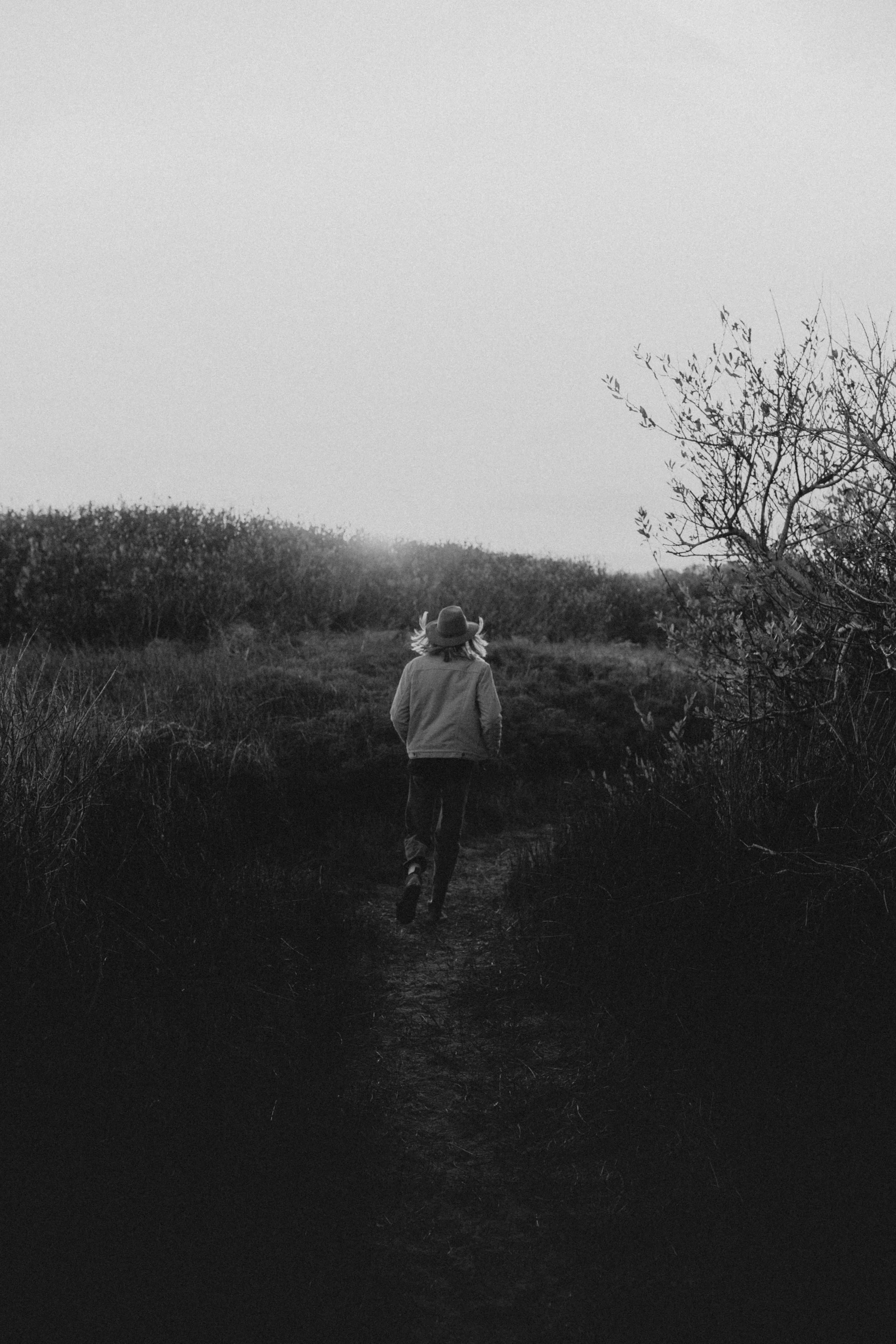 Costanoa-18.jpg