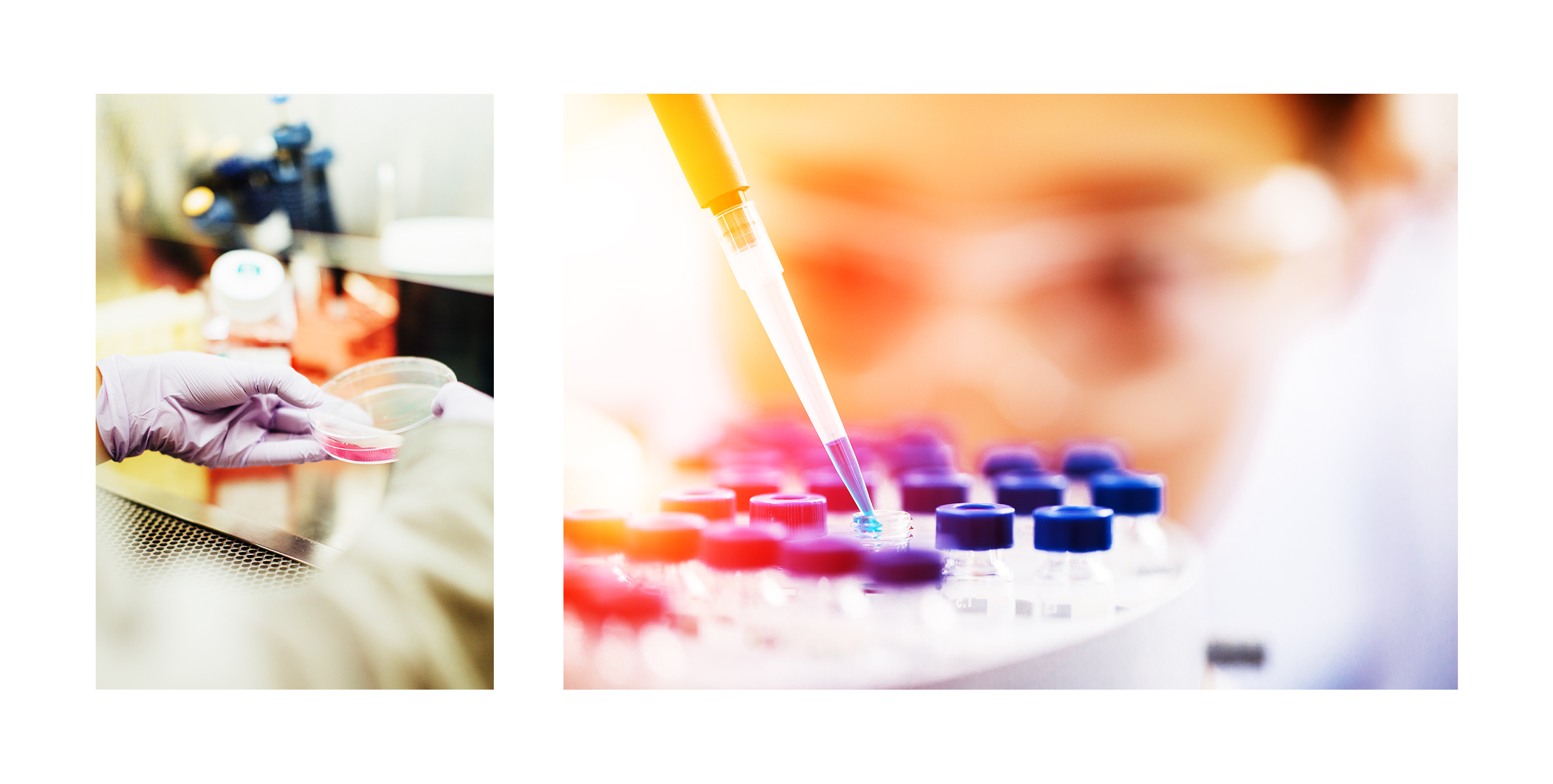 lab testing_3.jpg