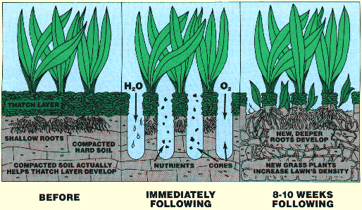 aeration1.gif