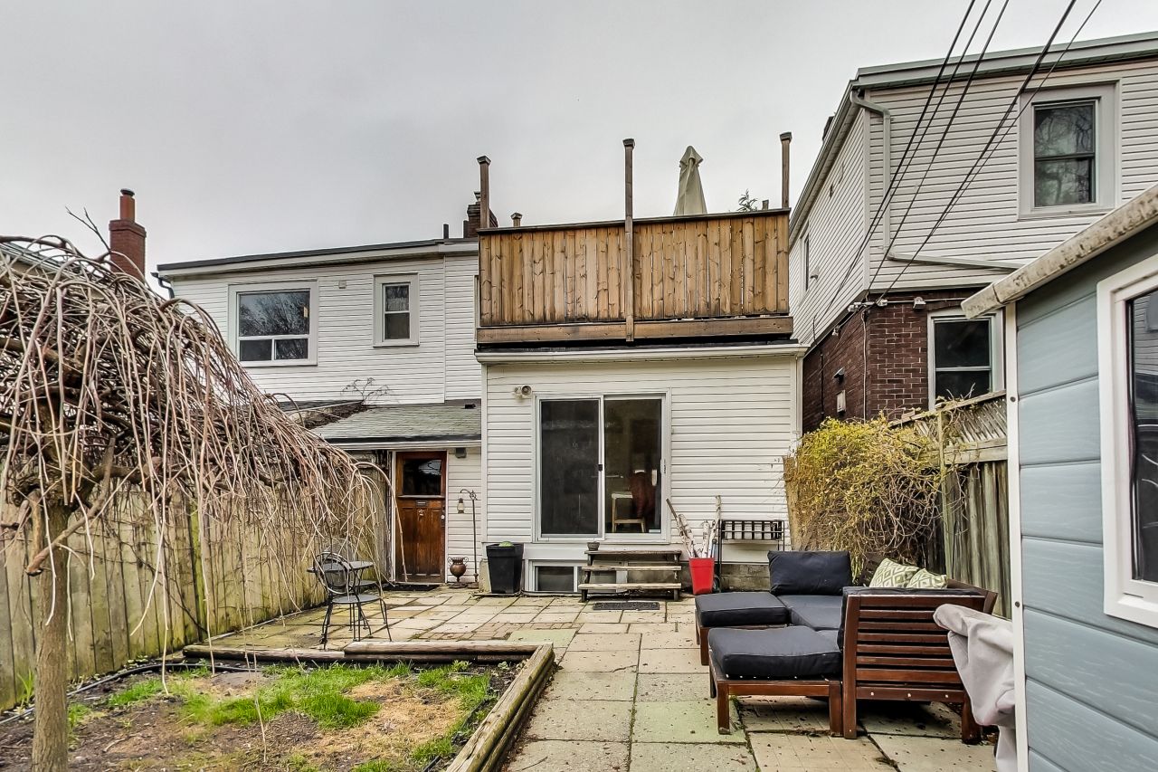 backyard.jpg