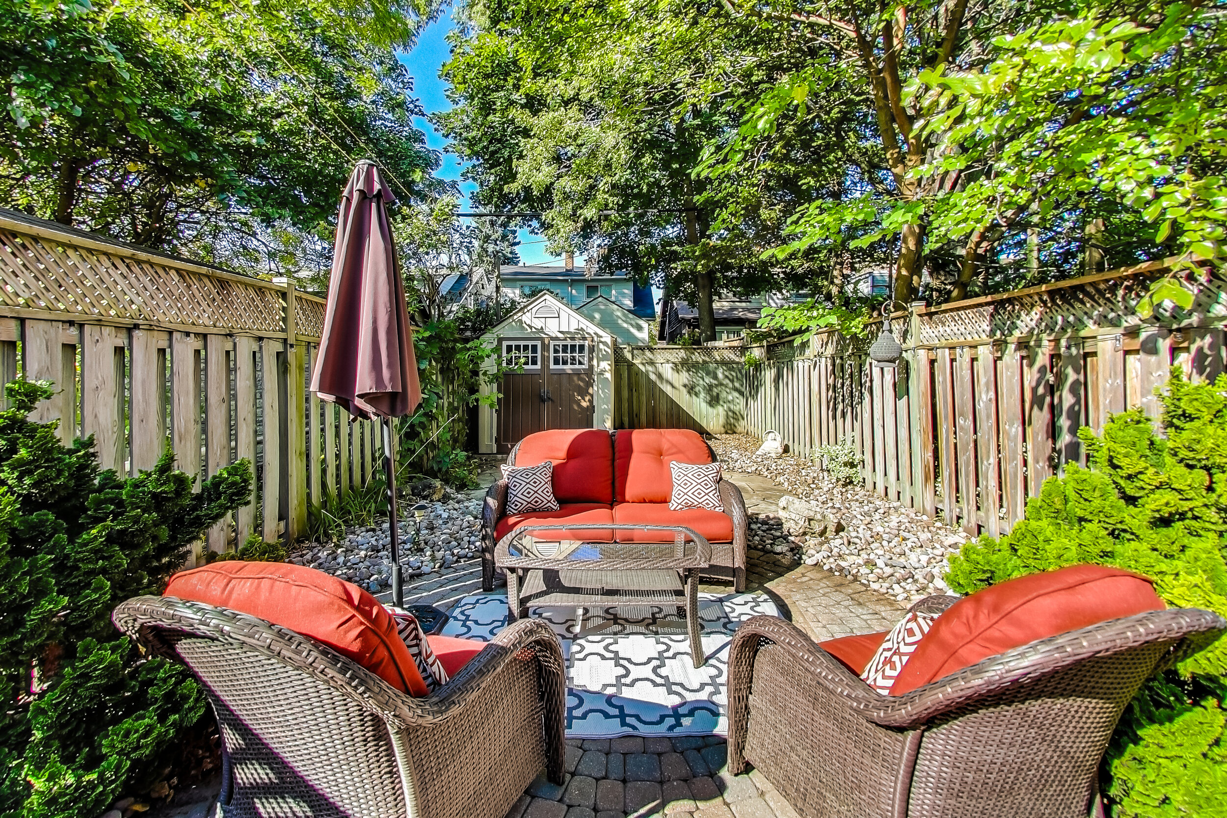Backyard.jpg
