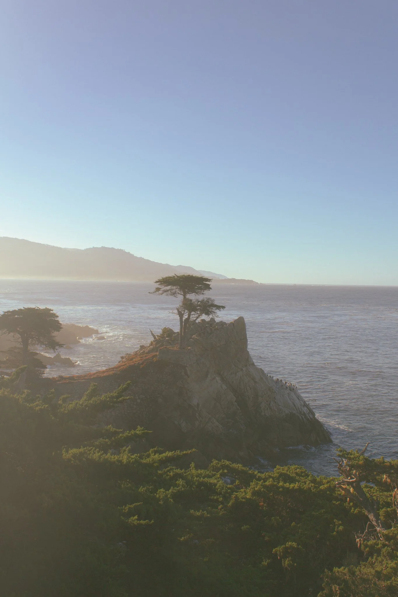 norcal-1.jpg