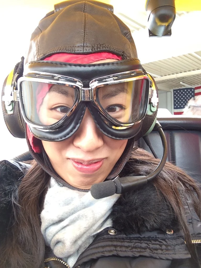 Flying Through the Skies