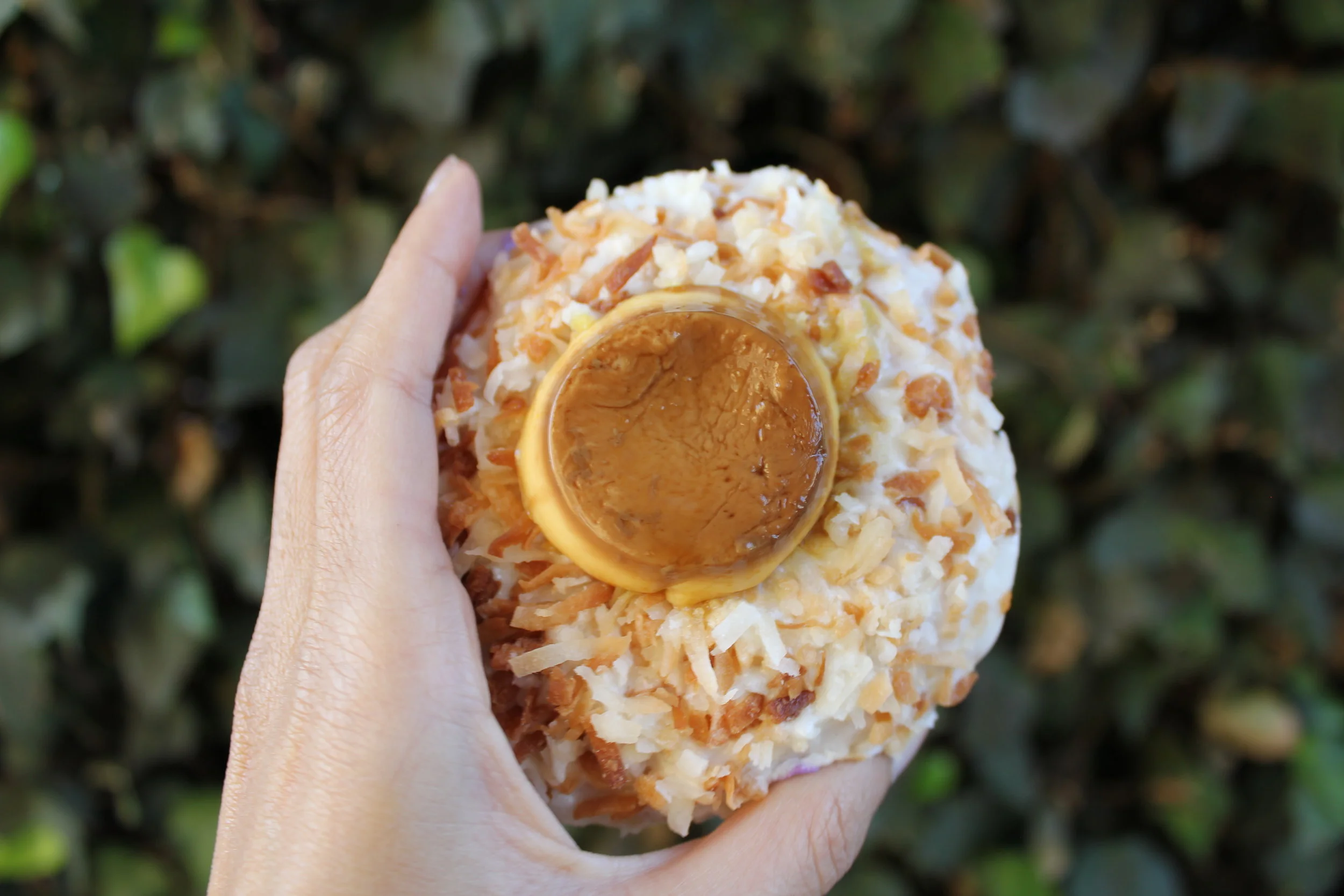 u-Jelly Donuts Grand Opening