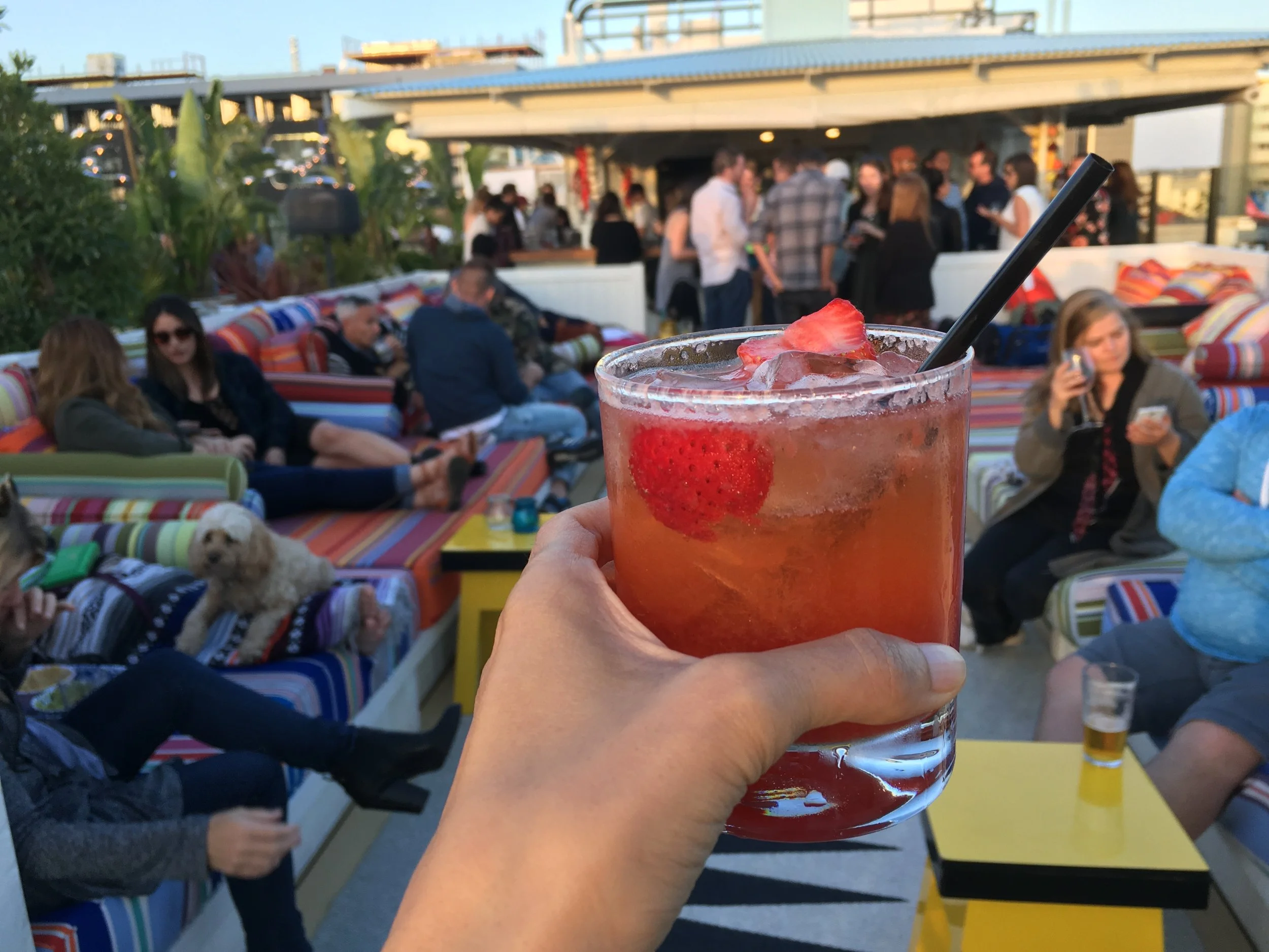 Where to Eat in Hollywood