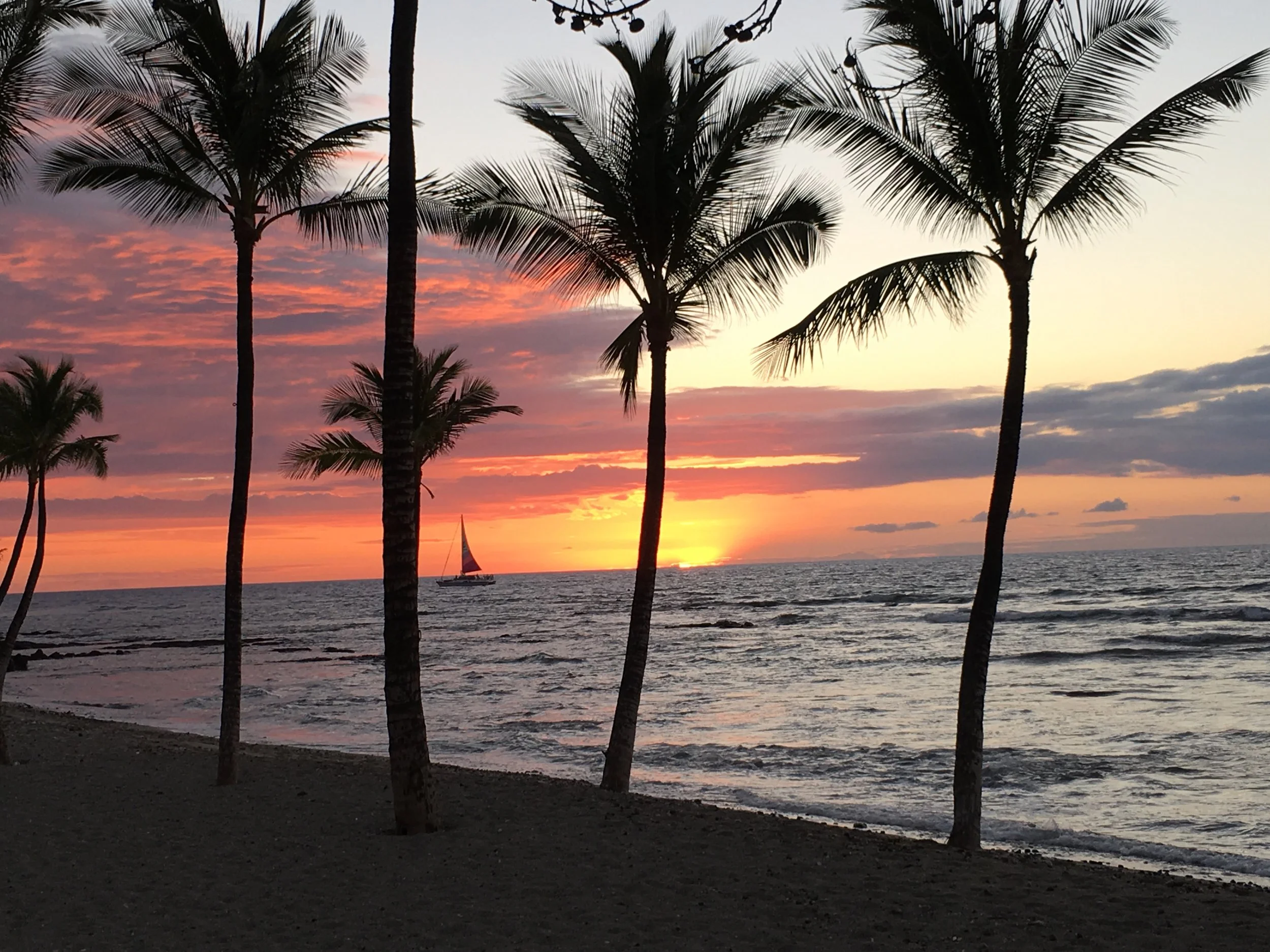 Where to Eat on the Kohala Coast in Hawaii