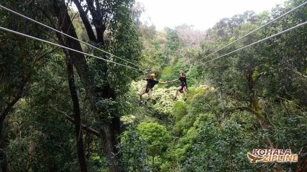 What To Do On The Western Big Island of Hawaii