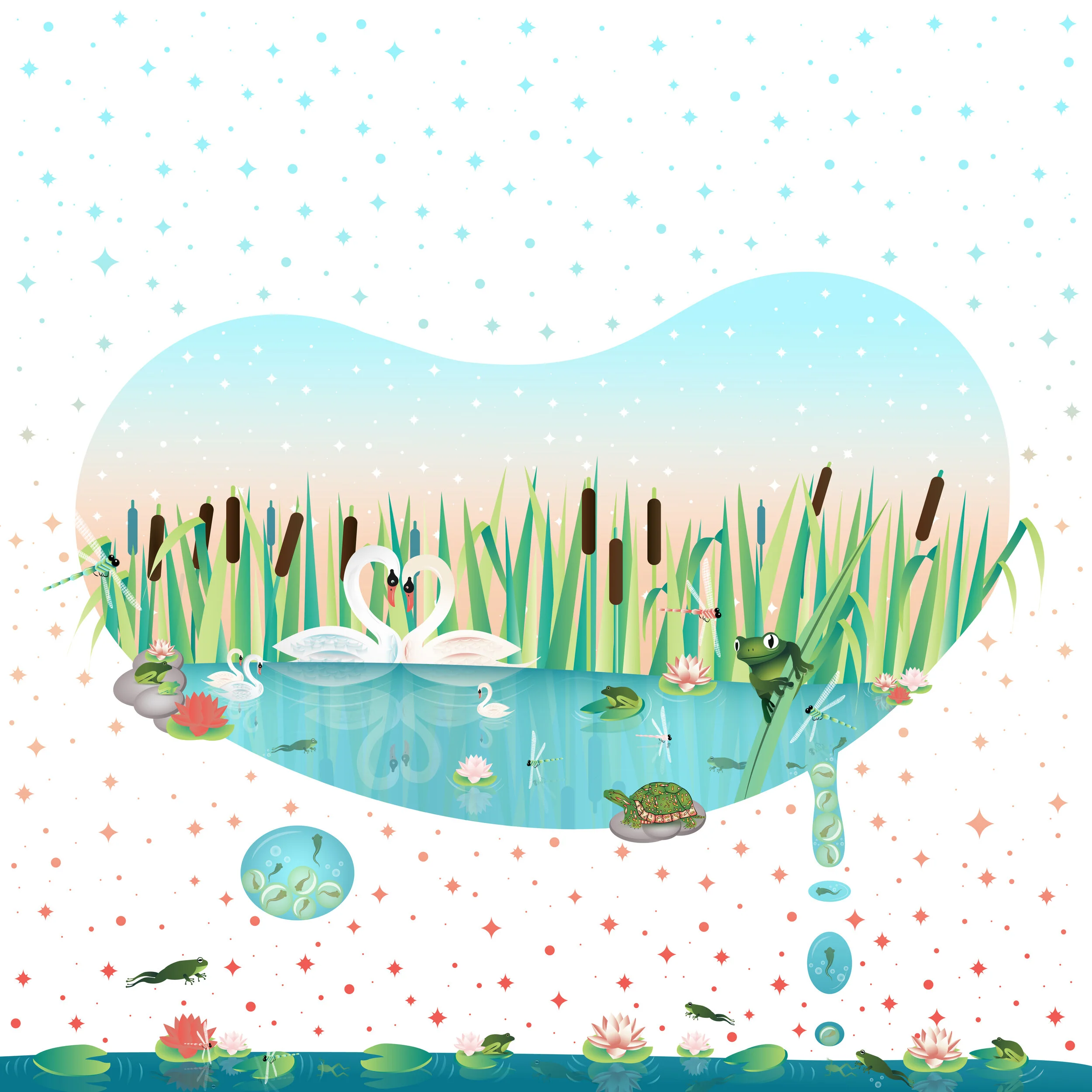 pond.jpg