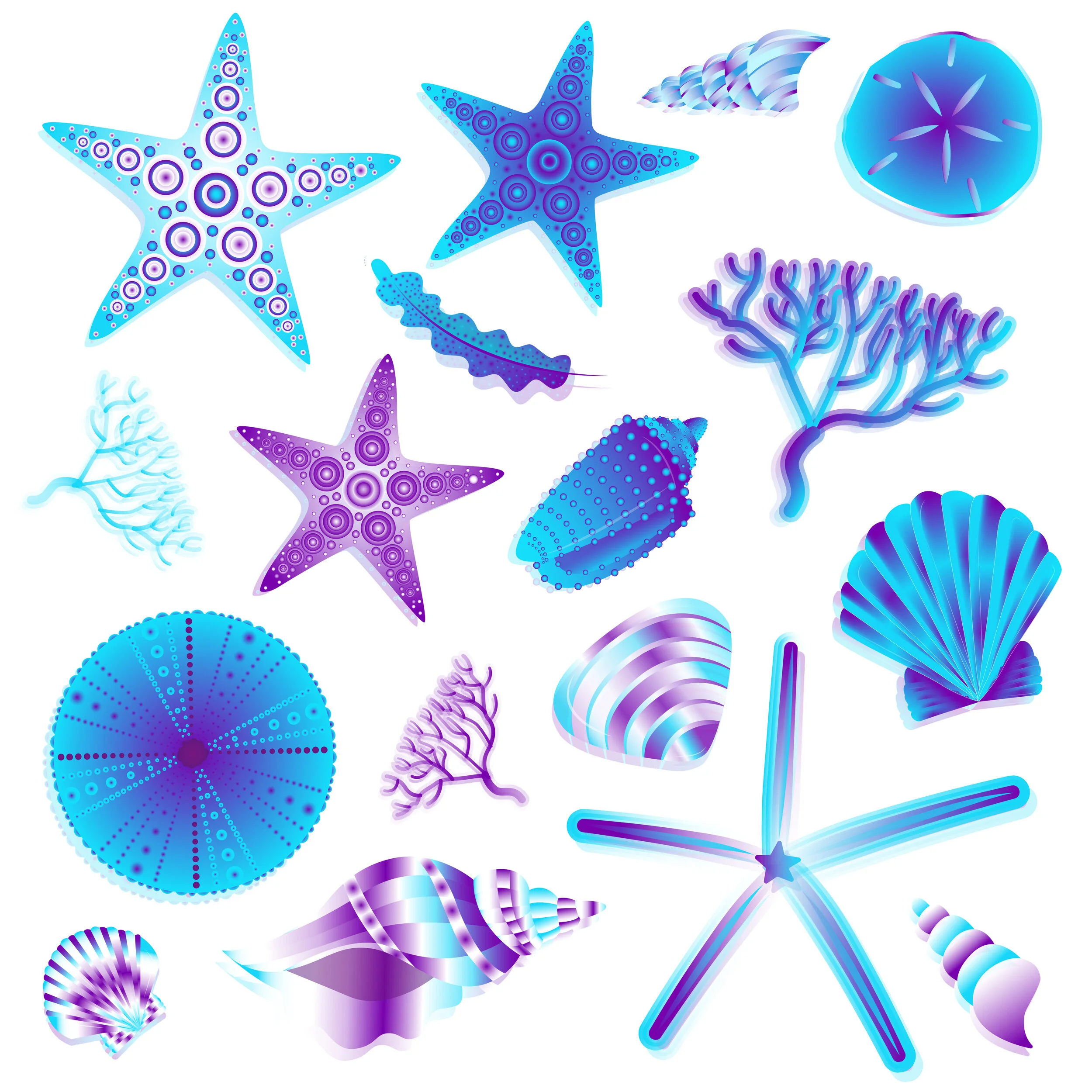BluePurpleShell-01.jpg