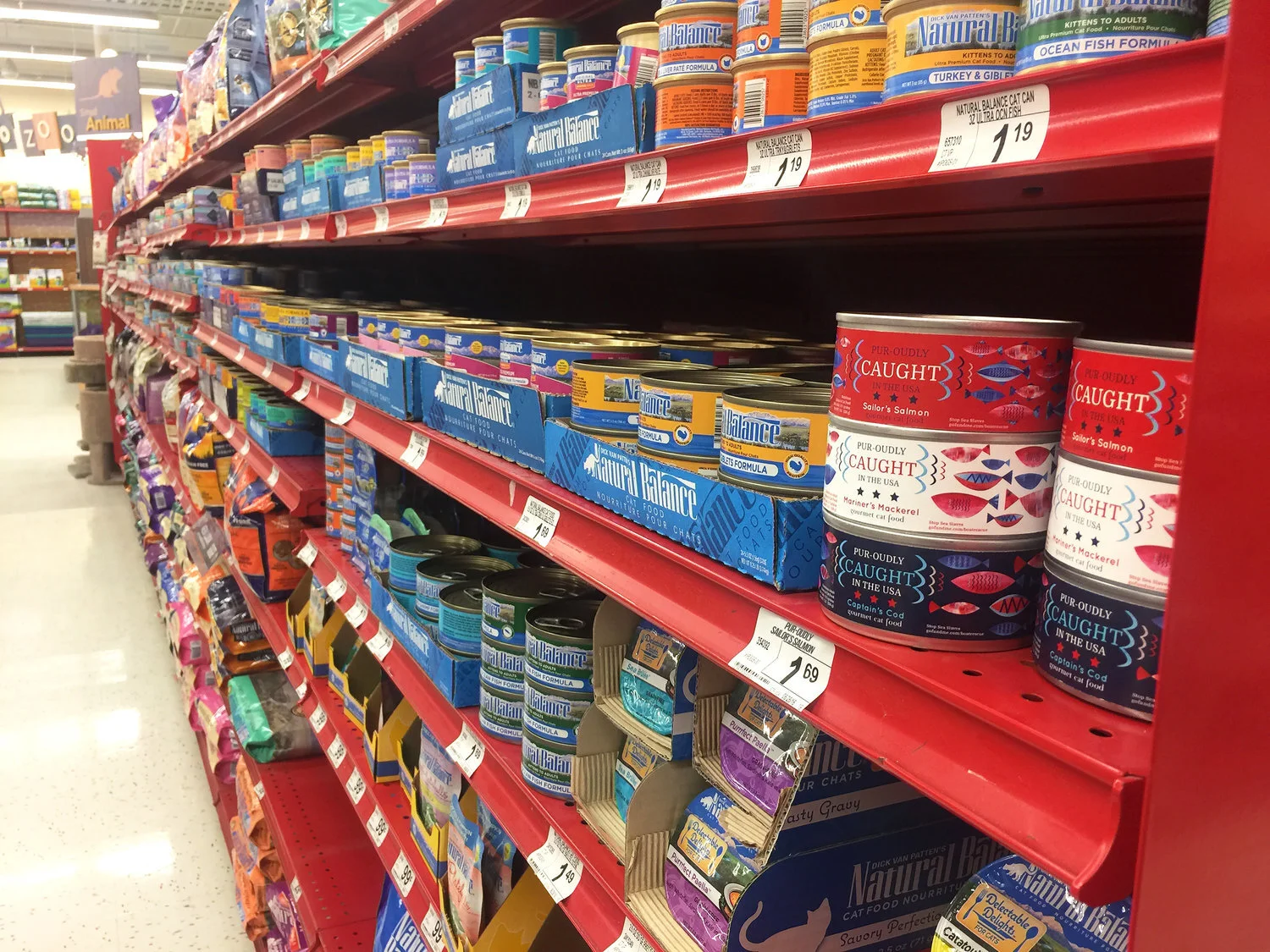 shelf.jpg