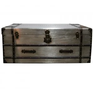 rafael-trunk-coffee-table-champagne2.jpg