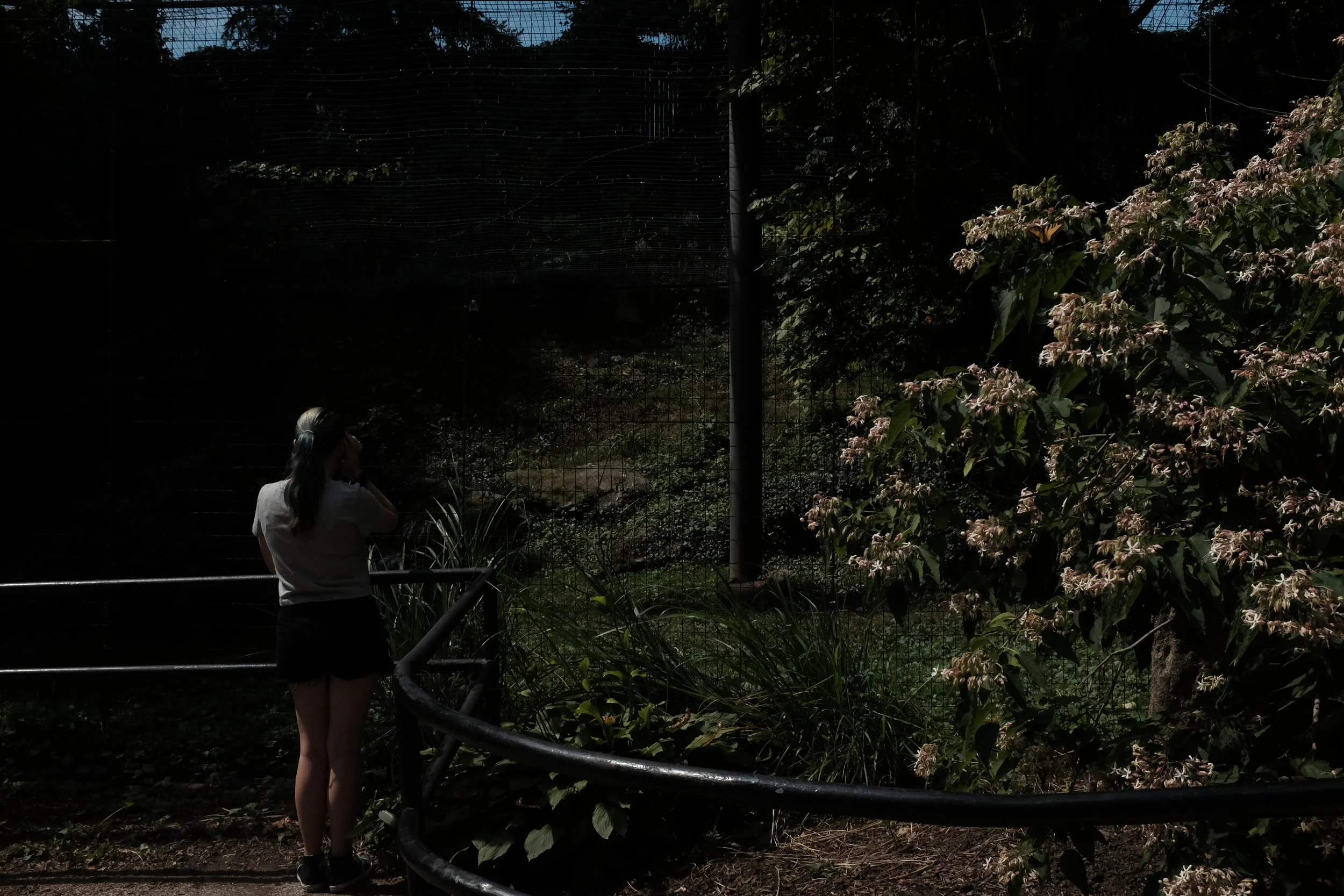 DSCF4587.JPG