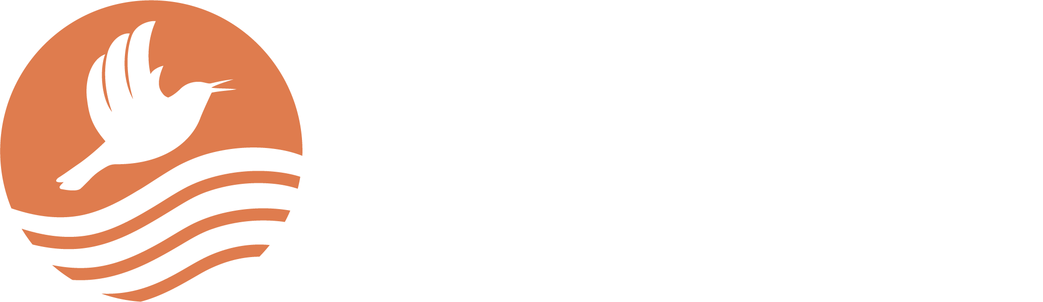 plain§ong logo