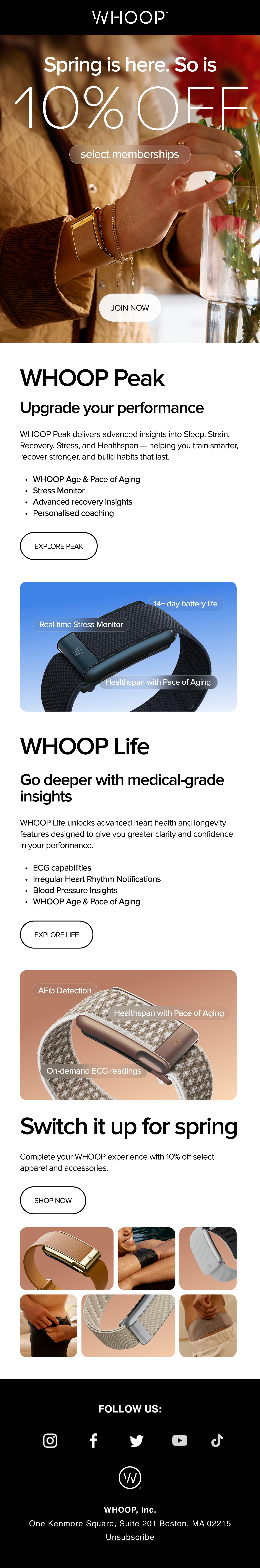 Leads - Spring Sale Intro.png