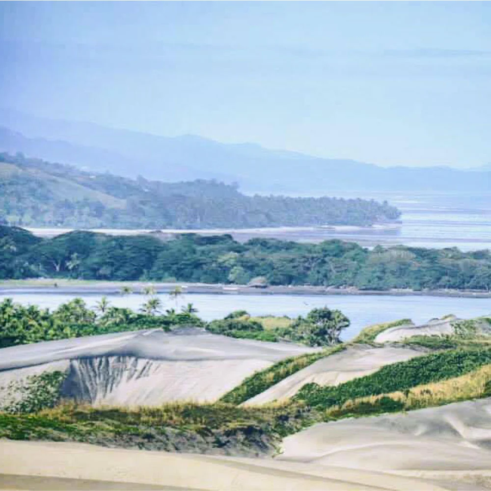 Sand Dunes.jpg