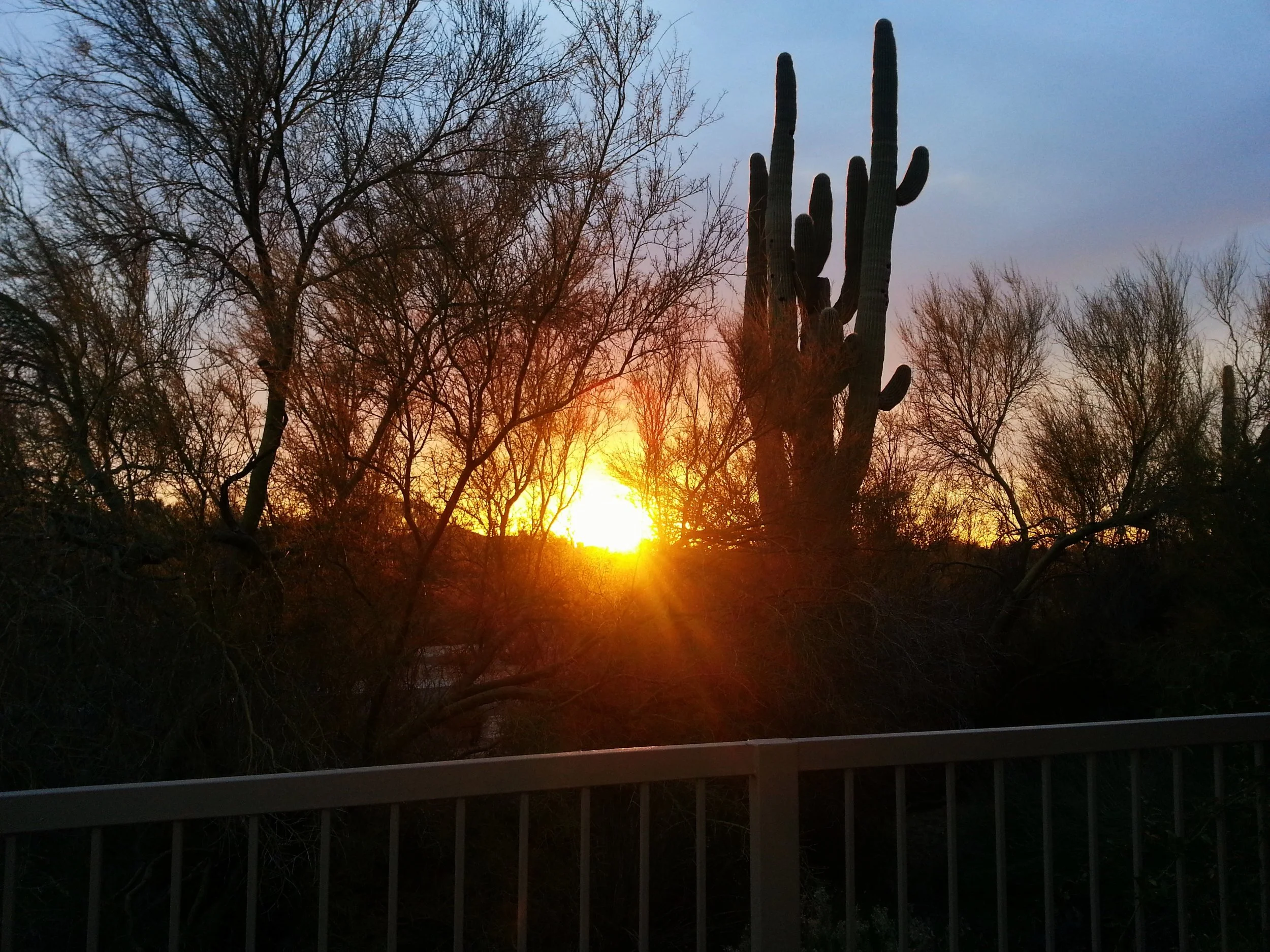 20130305_182042.jpg