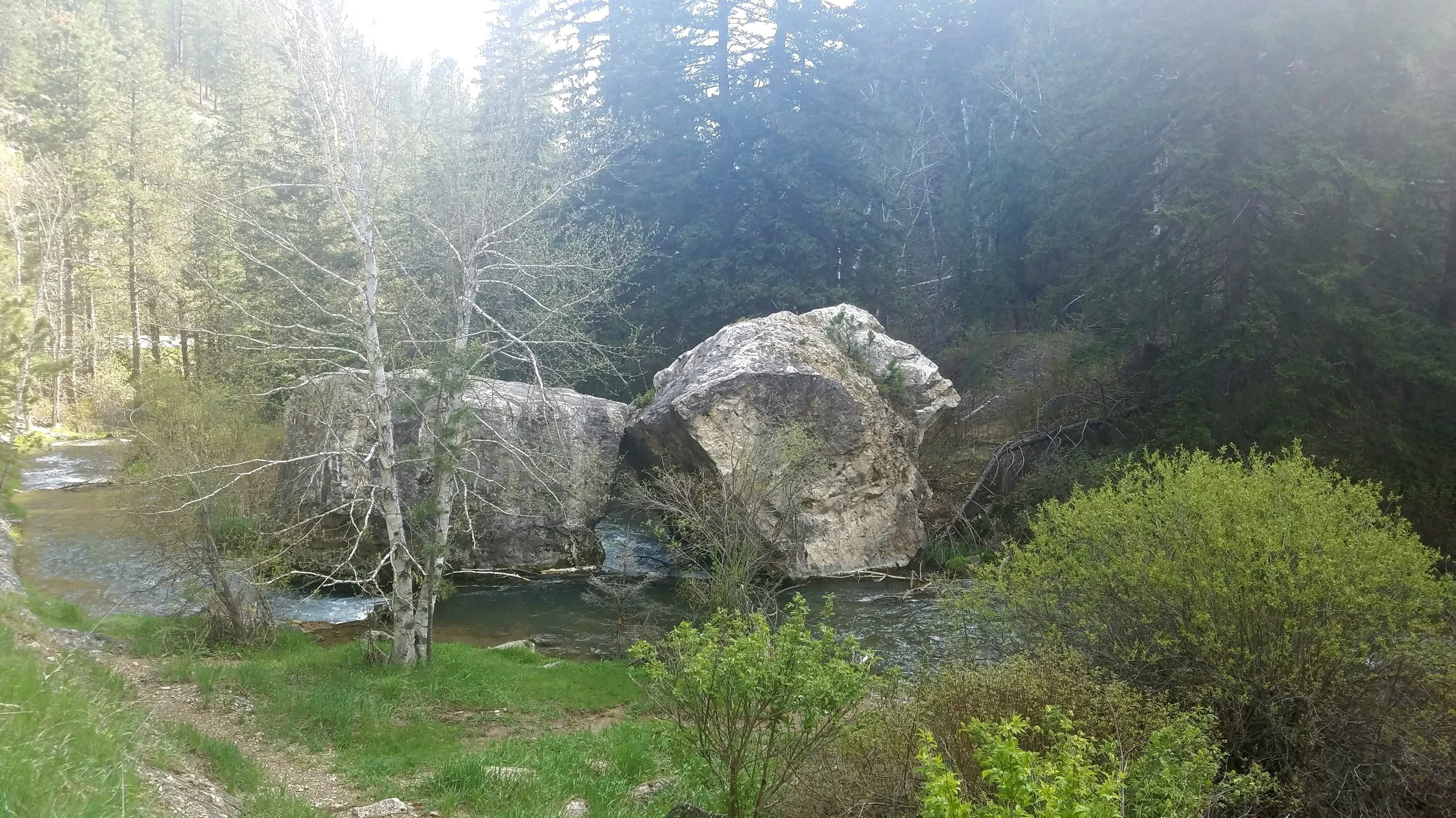 20180520_150059.jpg