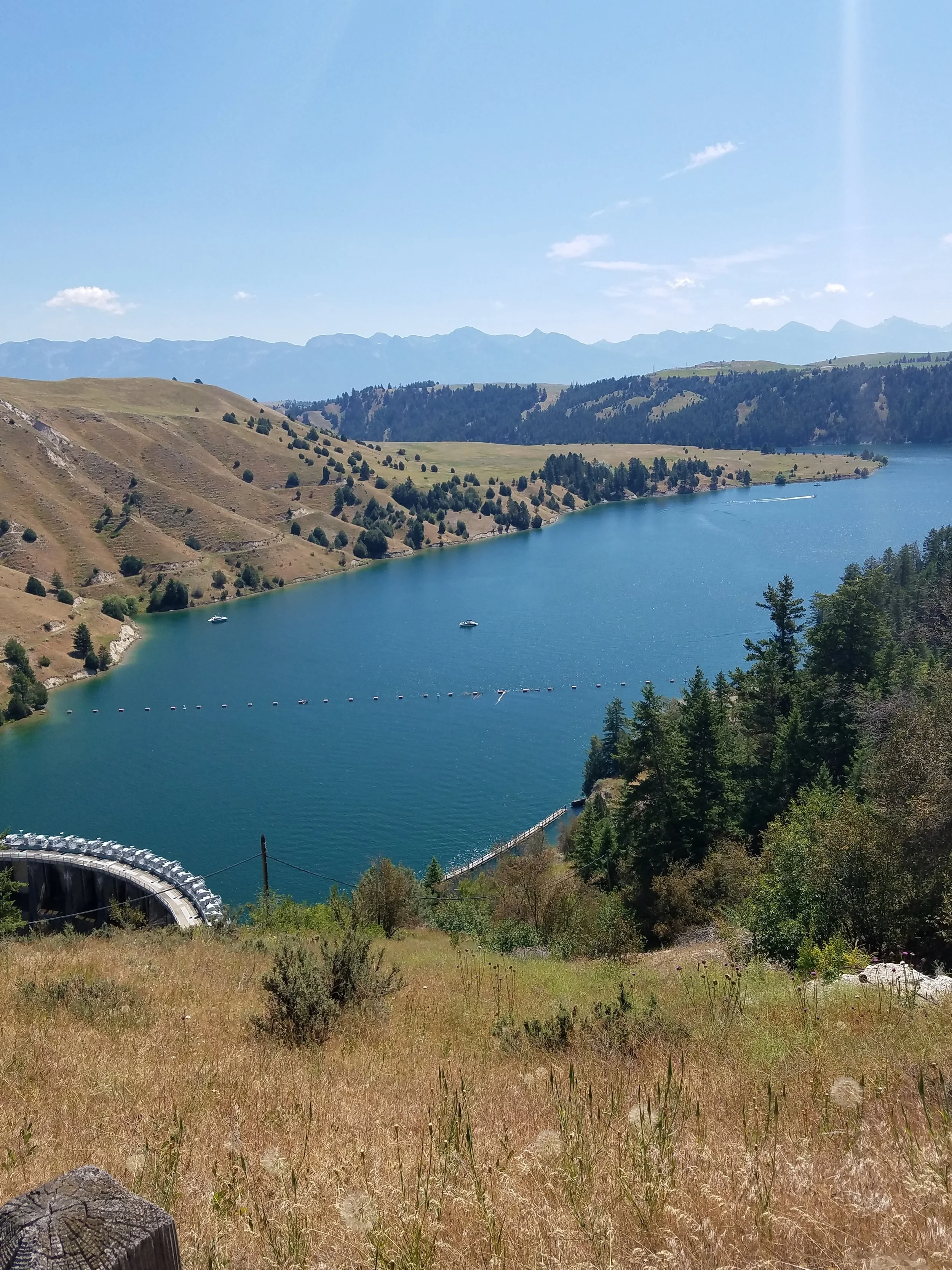 20180715_122847.jpg
