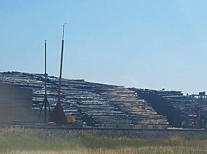 20180718_145001.jpg