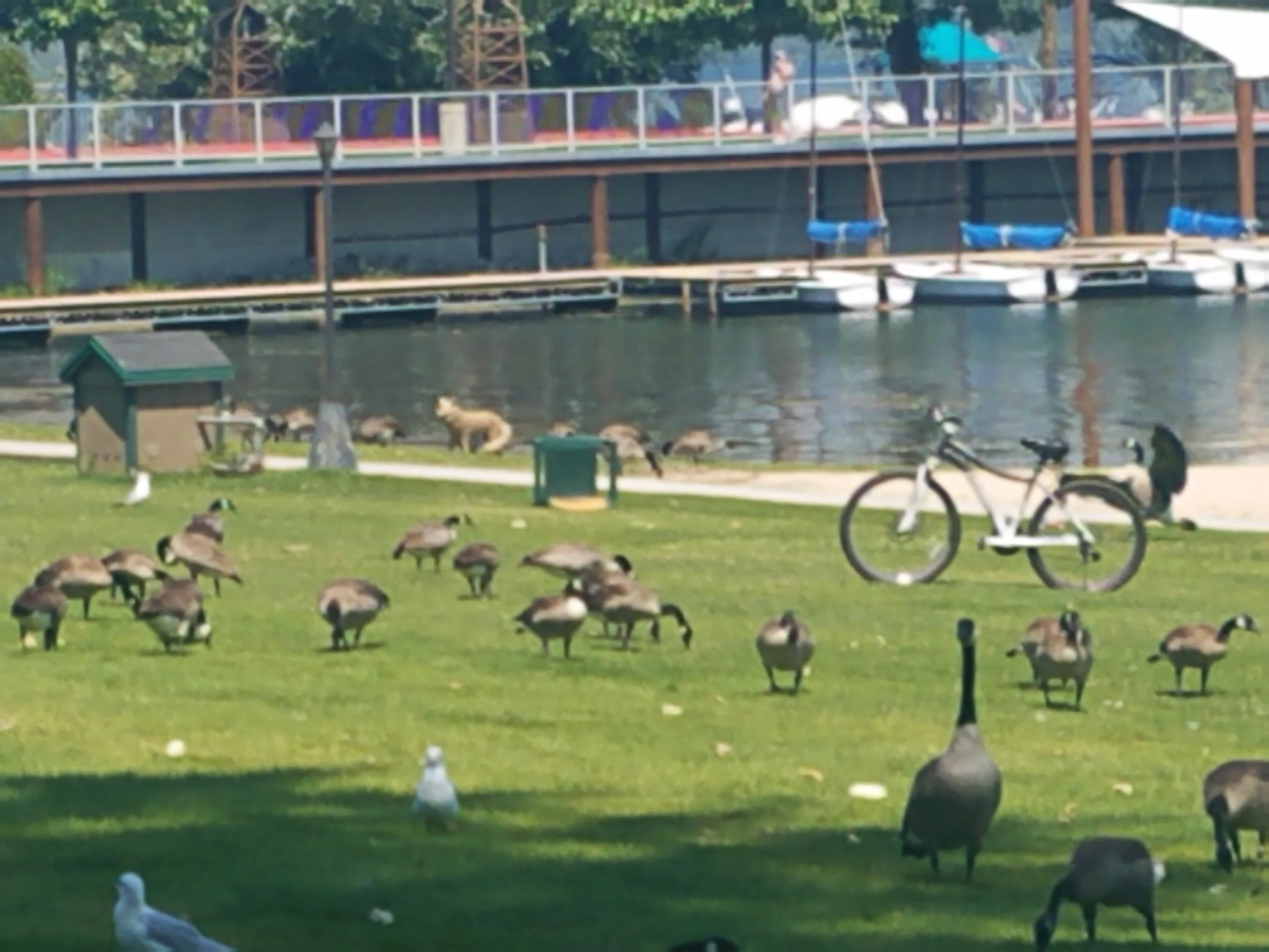 20180718_131734.jpg