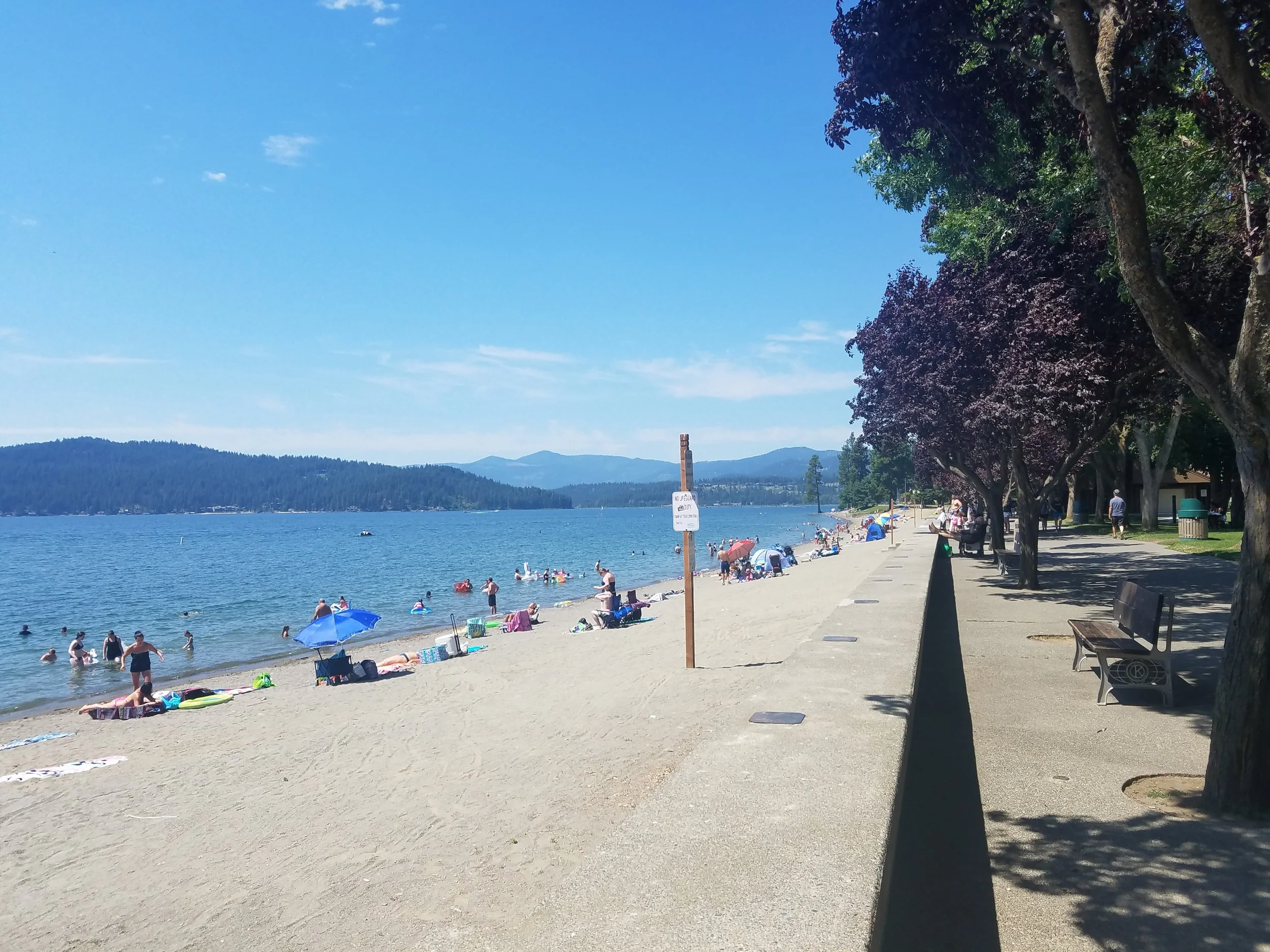 20180717_114146.jpg