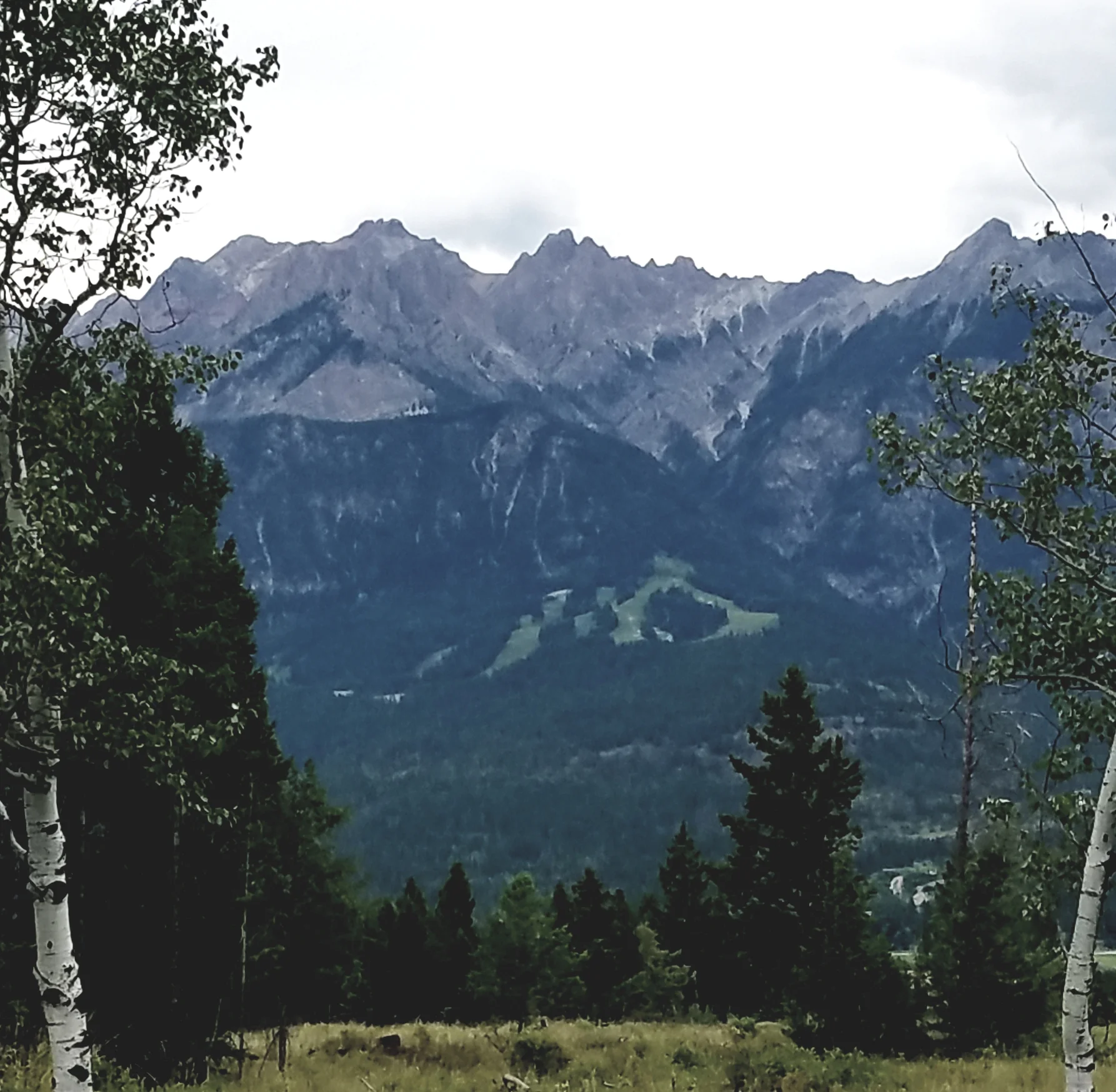 20180721_181731.jpg