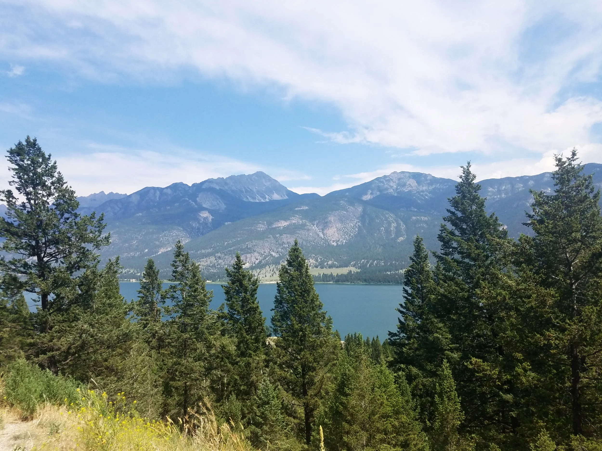 20180719_144334.jpg