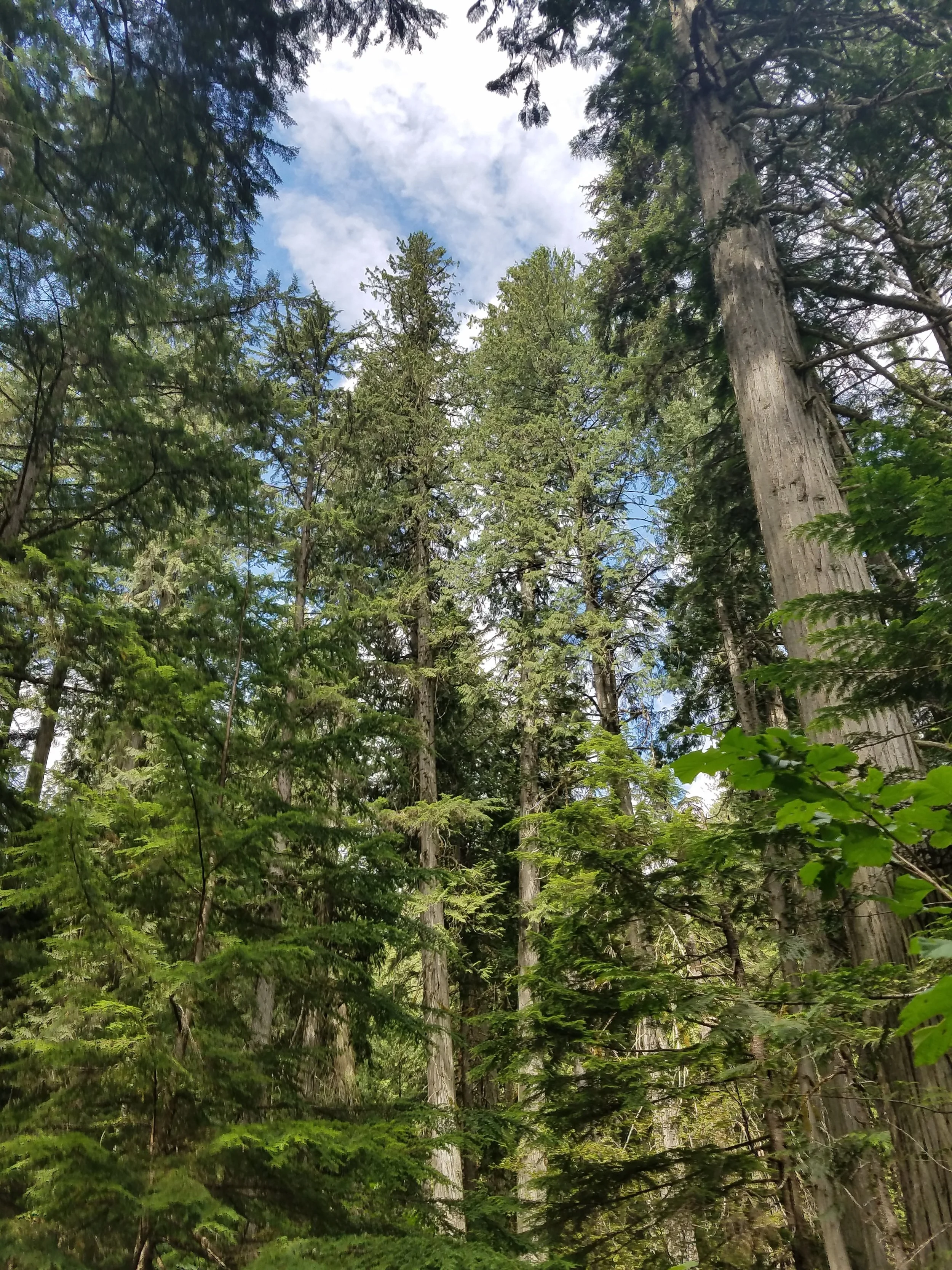 20180723_113153.jpg