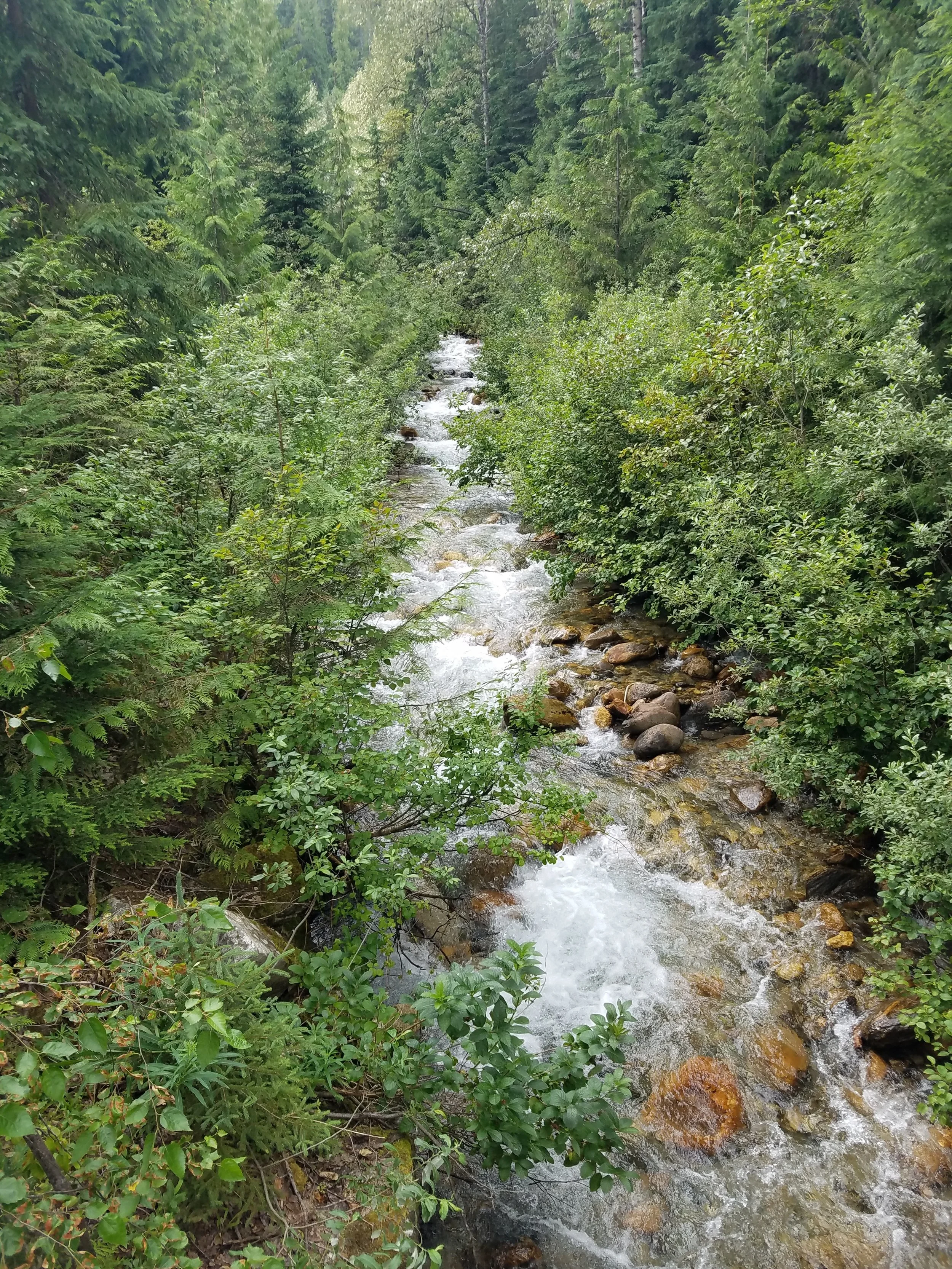 20180723_152626.jpg