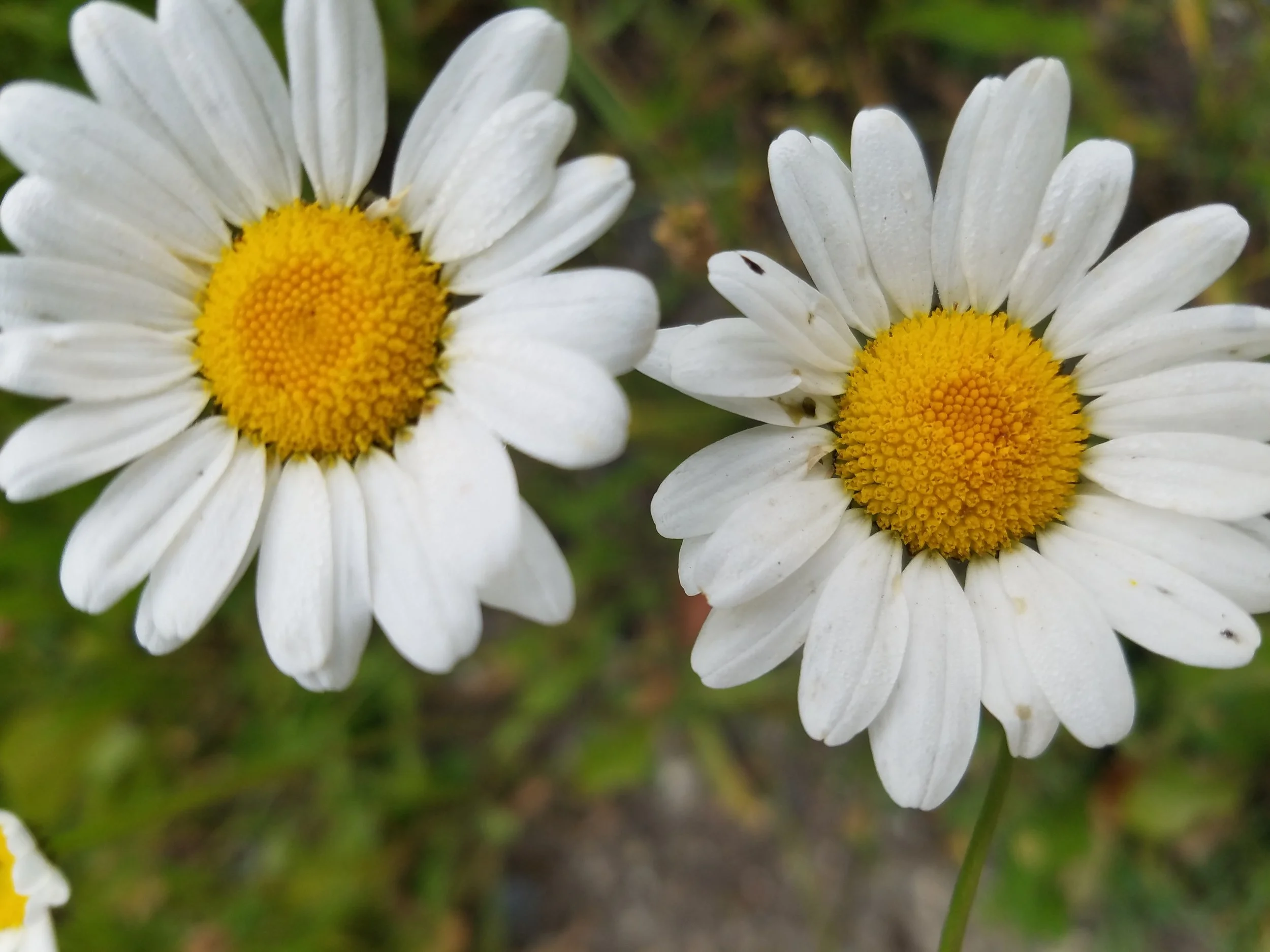 20180724_073747.jpg