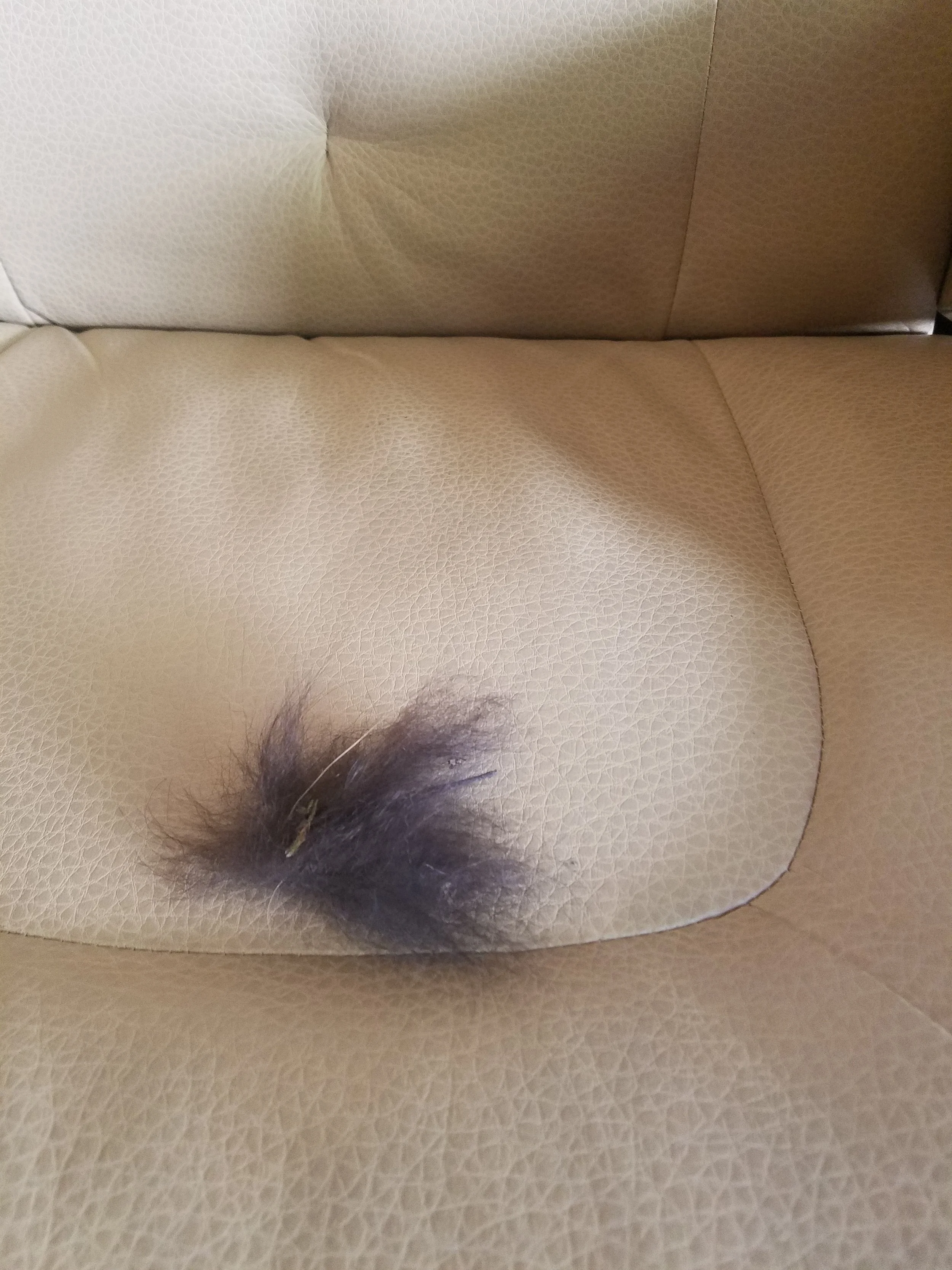 20180724_171511.jpg