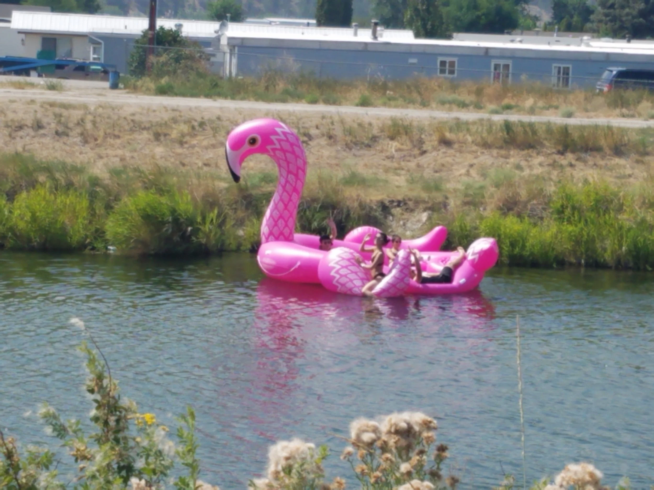 20180728_142613.jpg
