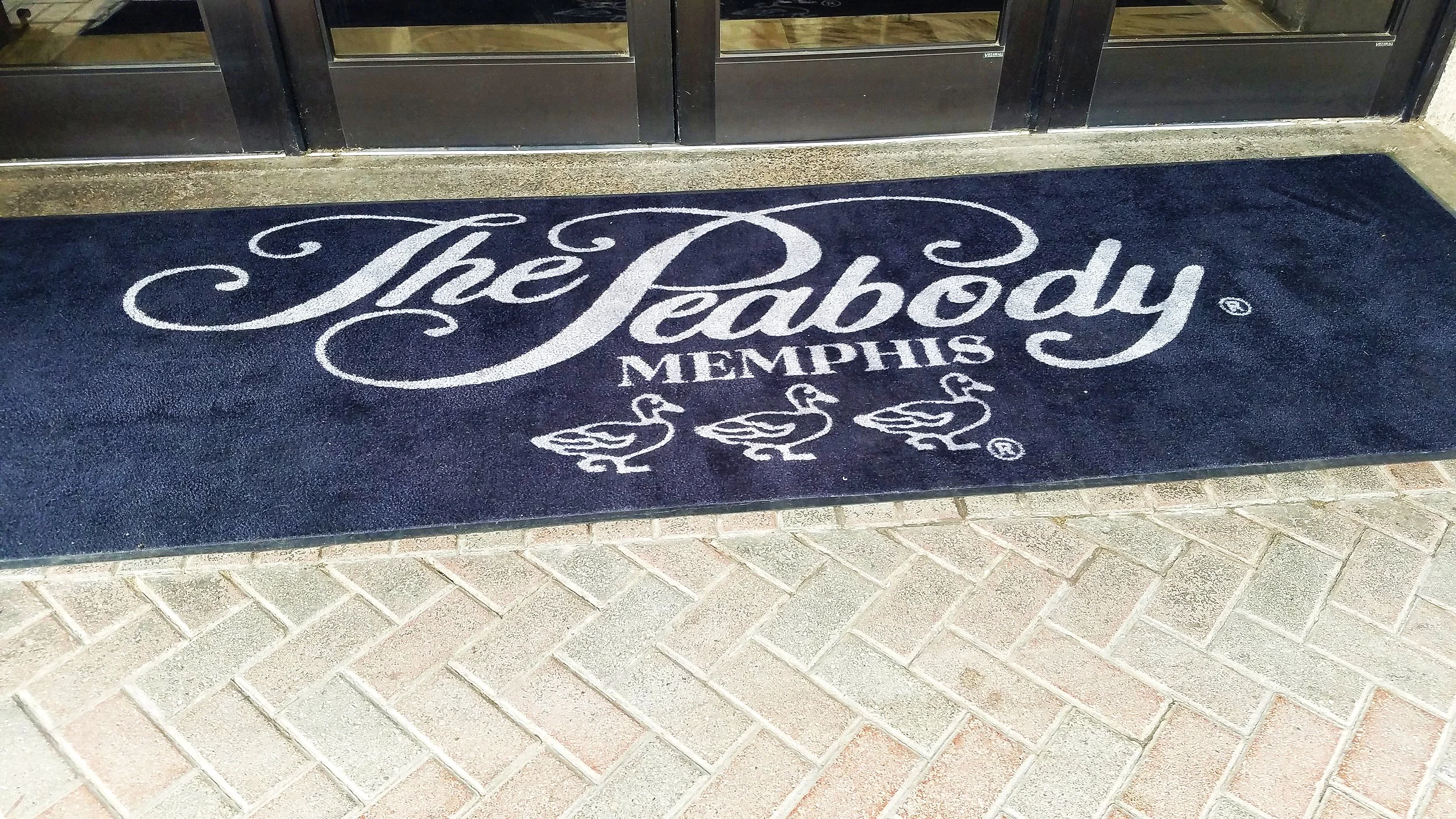20190622_101115[1].jpg