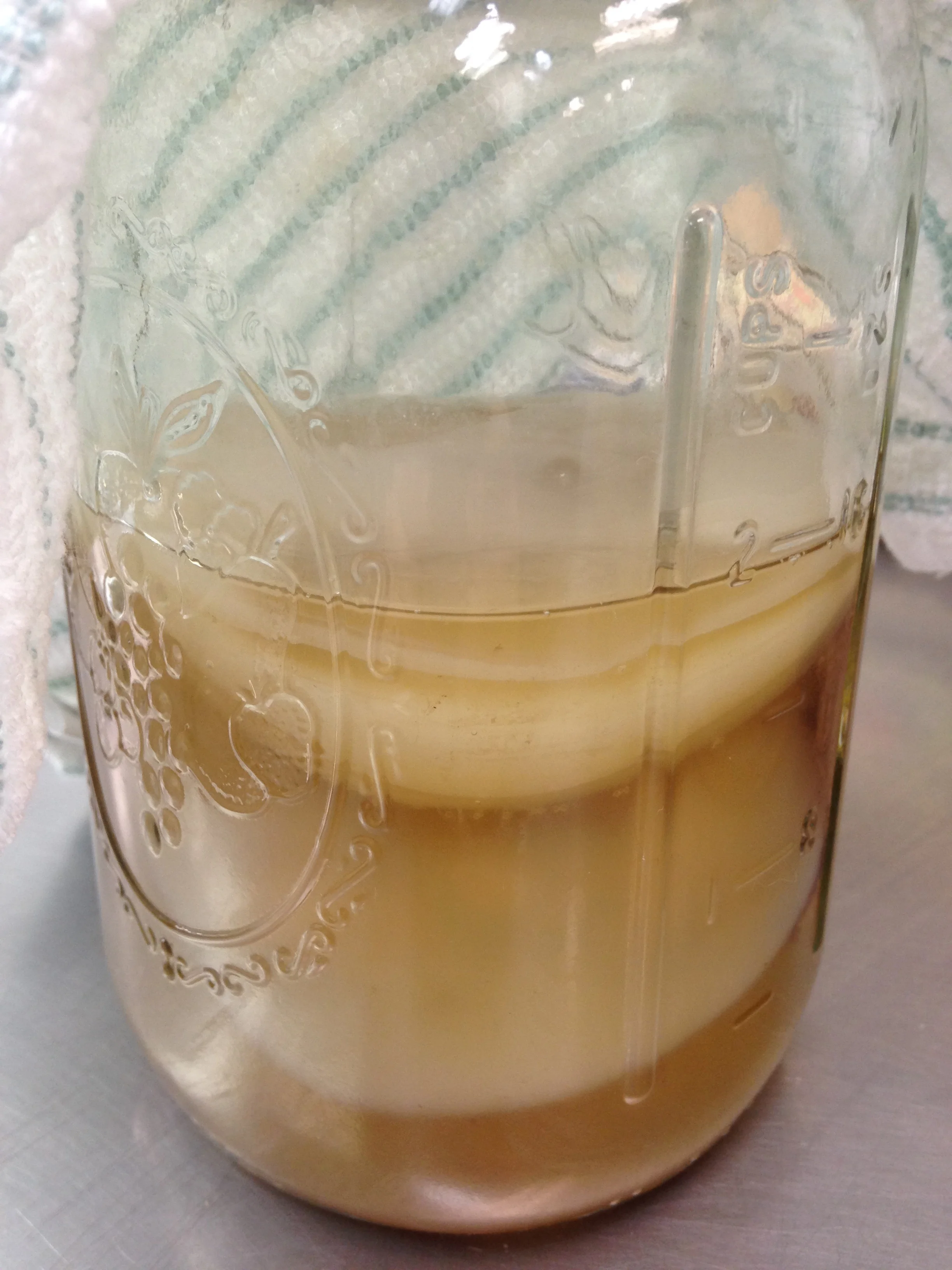 SHOP — Brewing Life Kombucha