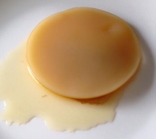 scoby.jpg