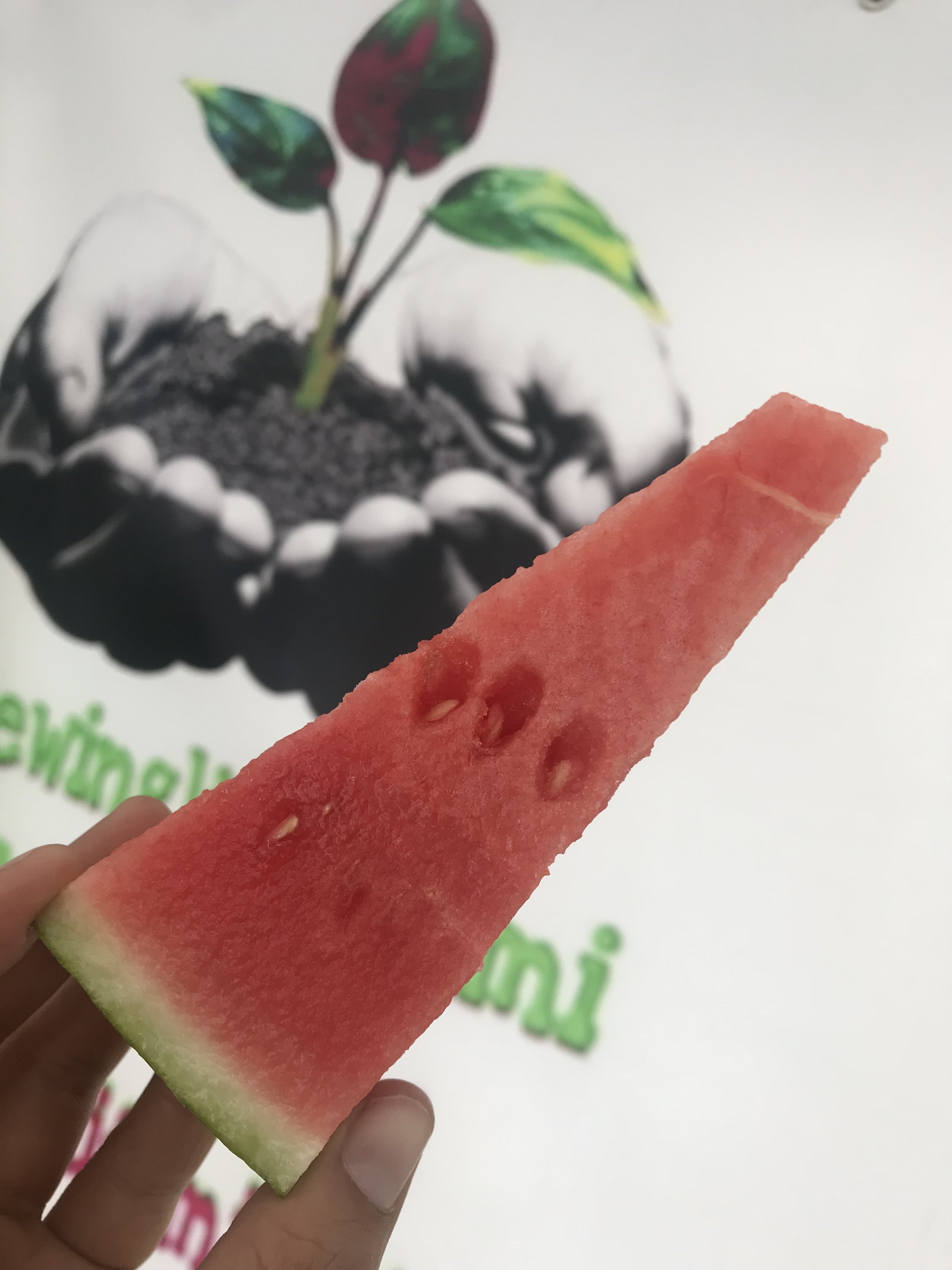 watermelon.jpg