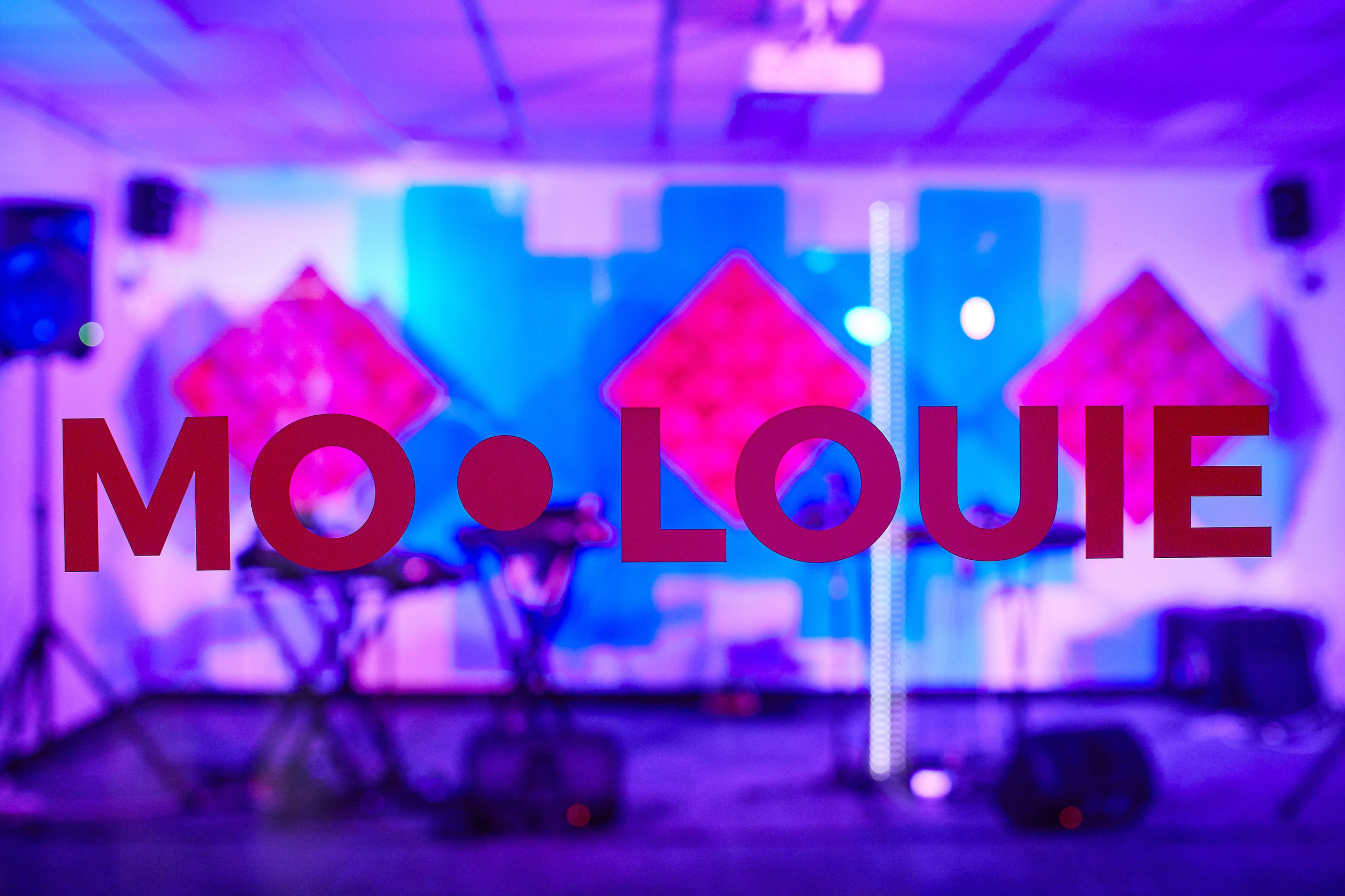 Collarts Mo Louie .jpg