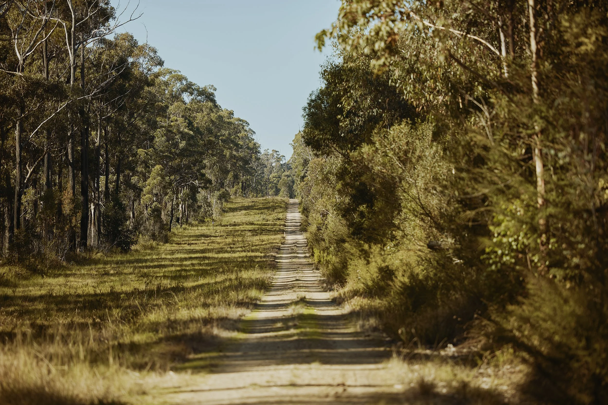 SOC_UnderTheSurface_Minna Leunig 088.jpg