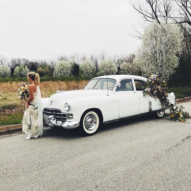 The Cadillac looked better than ever today thanks to @lissaclair @jmdesignsflorals @opalandjune @ali.jones 🤍🤍🤍 We love helping your dreams come to life! Let us know if you have something we need to be a part of!! #bridesnwa #northwestarkansasweddi