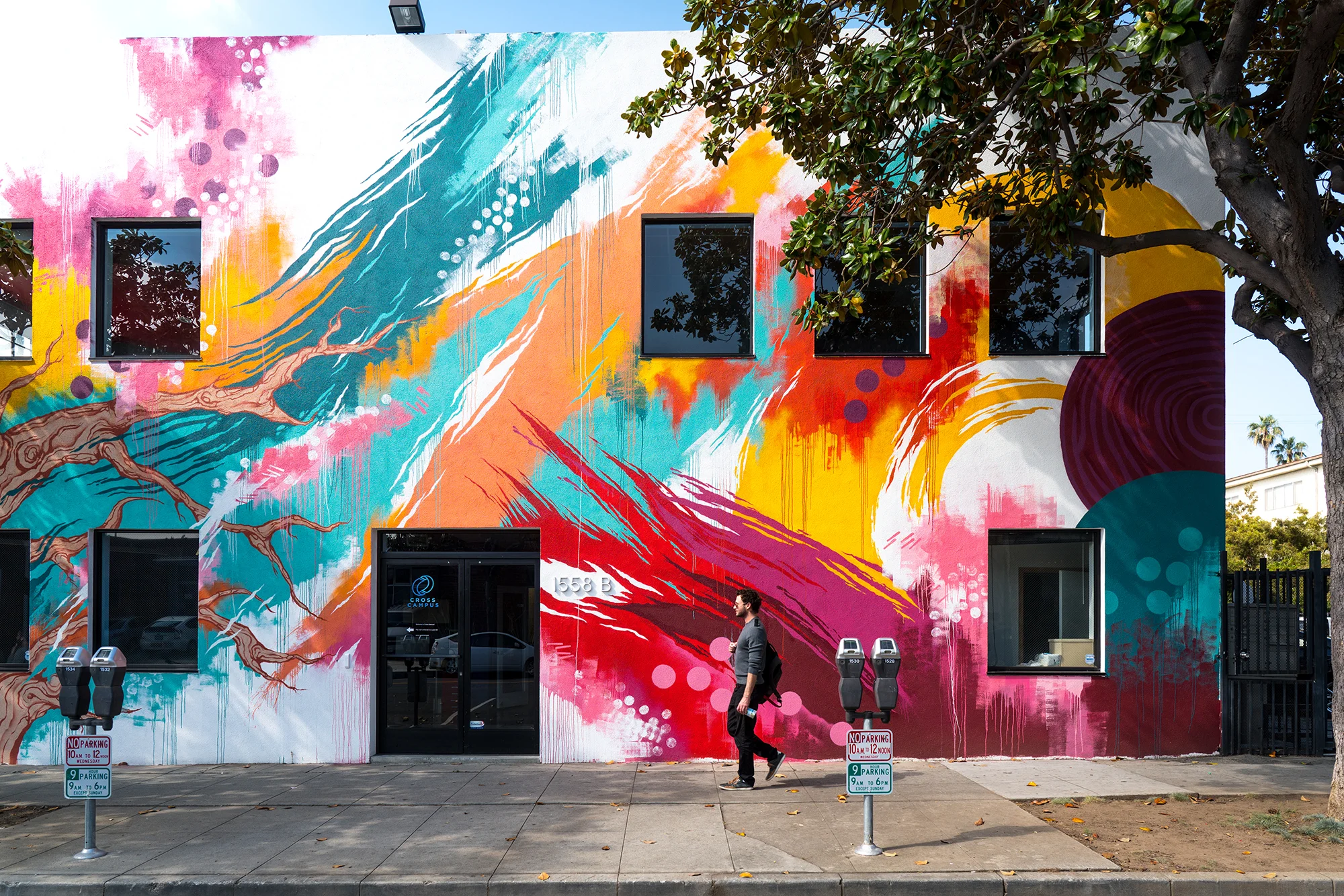 Meggs_Cross Campus 2_Santa Monica CA.JPG