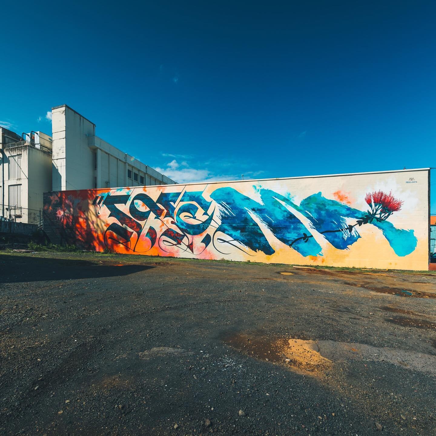 I&rsquo;m reminded today of the &lsquo;MANA&rsquo; collaborative mural I painted with the homie @_cryptik_ in Hilo, Hawai&rsquo;i with @templechildren .
.
This project will remain one of my all time favs as much for the result as for the connection i