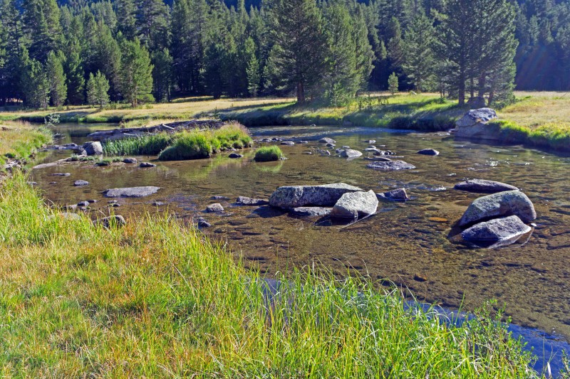 Above: Lyell Fork of Tuollumne River