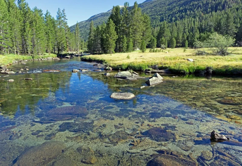 Above:&nbsp;&nbsp;more Lyell Fork.