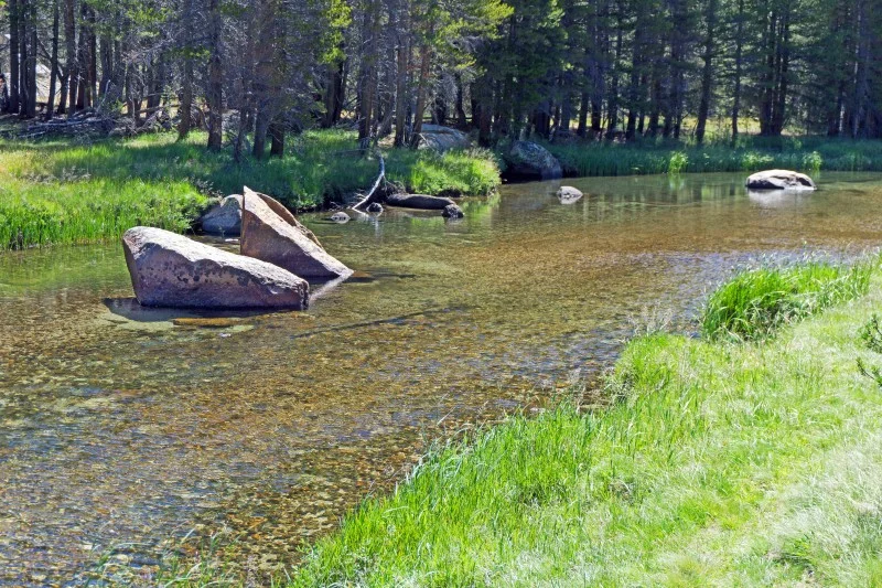 Above:&nbsp;&nbsp;more Lyell Fork.