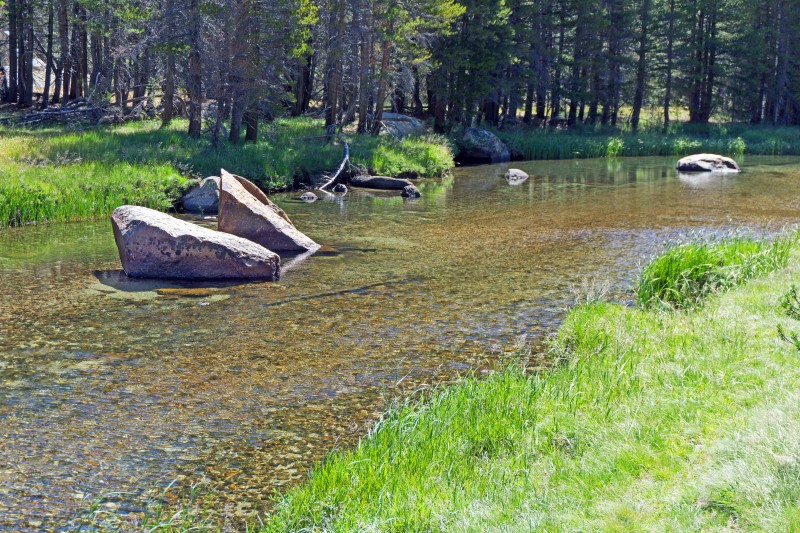 Above: more Lyell Fork.
