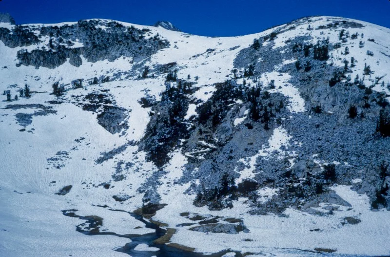Above: looking up to the last elevation to gain before leaving the Lyell River. Wait a minute, is that the trail covered in snow?