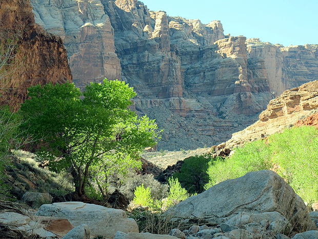 Above: the bottom of Dark Canyon.