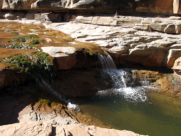 We saw plenty of awesome swimming holes, but it was too cold to swim.